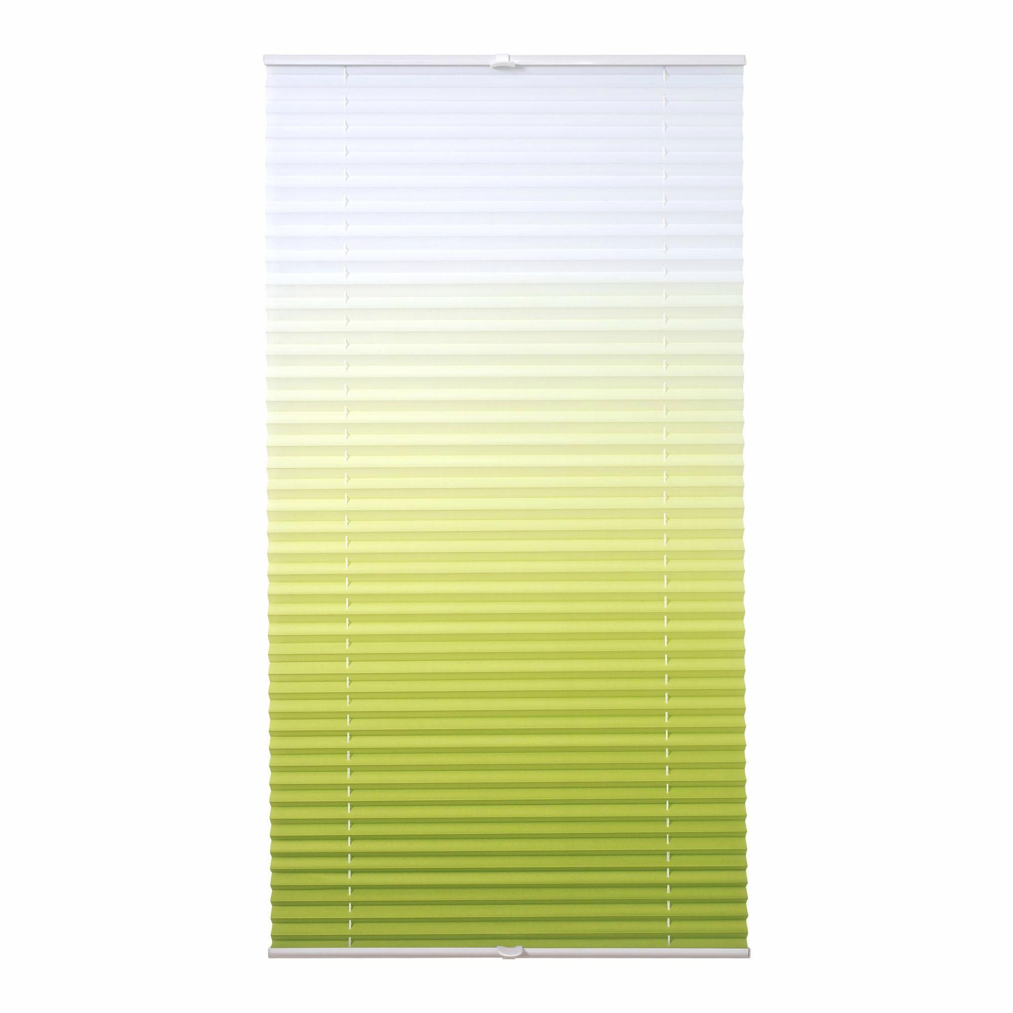 Image of Liedeco Plissee »Farbverlauf«, Lichtschutz, ohne Bohren, verspannt bei Ackermann Versand Schweiz