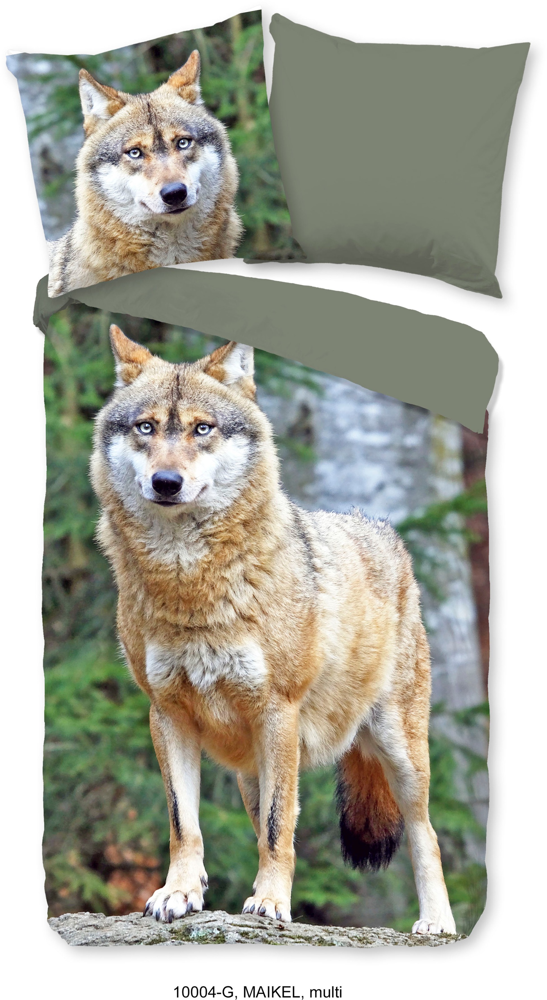 good morning Wendebettwäsche »Maikel«, 100% Baumwolle, 135x200, 2 Teilig, Reissverschluss, Wendeoptik, Herbst