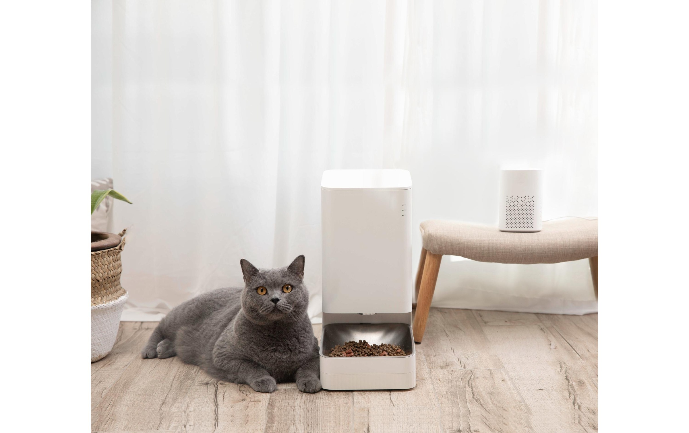 Xiaomi Futterautomat »Pet Food Feeder«