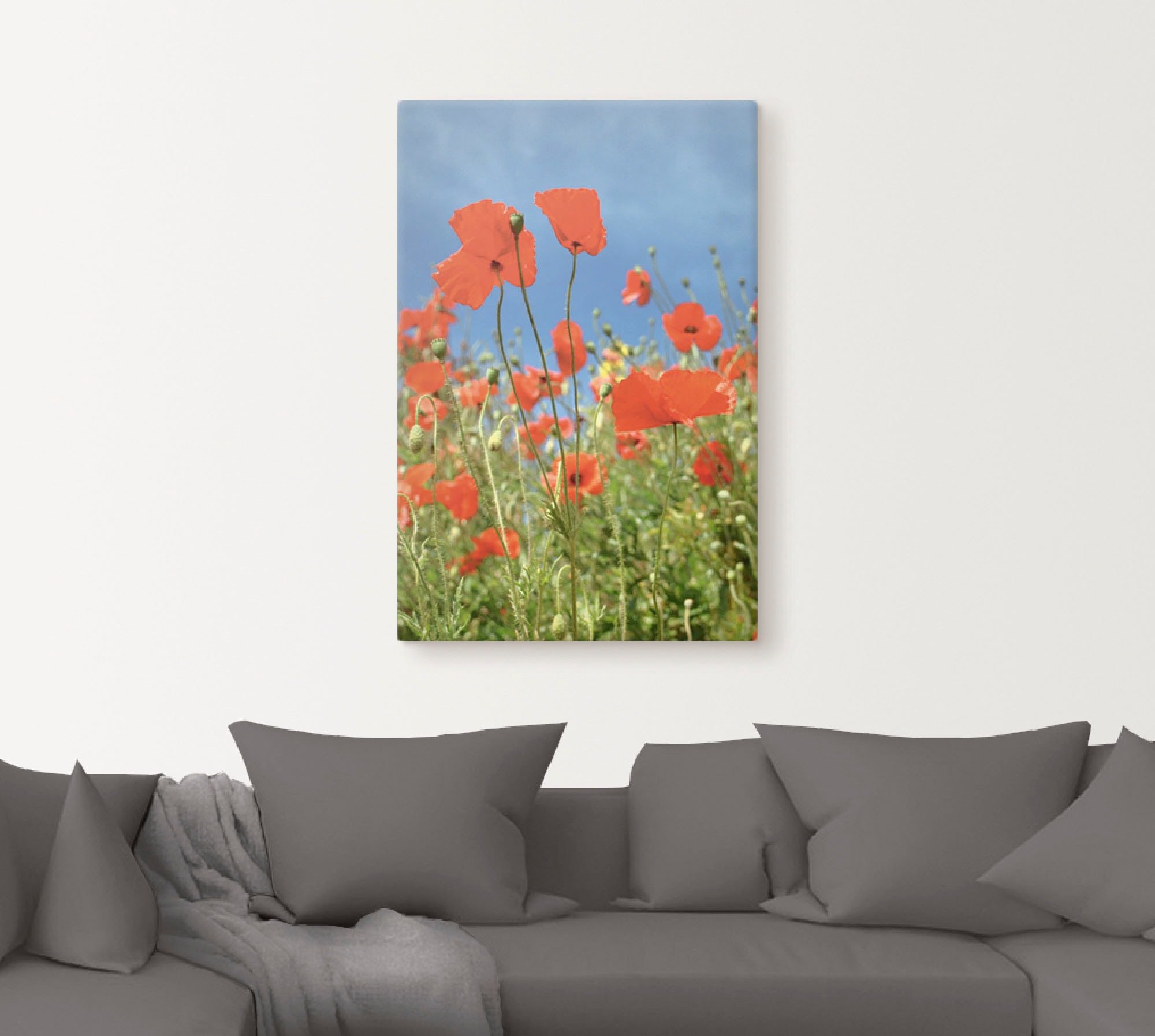 Artland Leinwandbild »Feld mit rotem Klatschmohn« Blumen 1 Stk. tlg. auf Holzrahmen gespannt