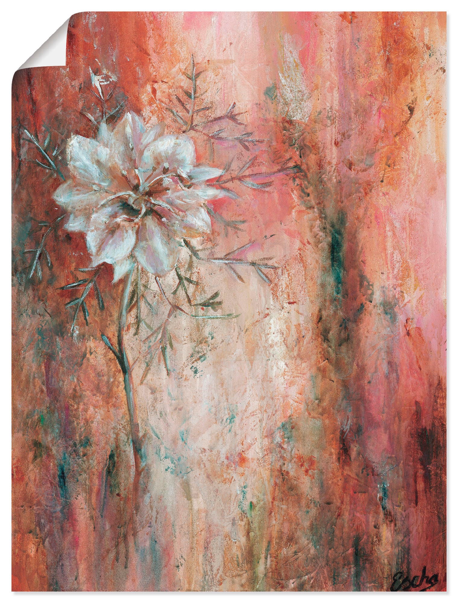 Image of Artland Wandbild »Schwarzkümmel I«, Blumen, (1 St.), in vielen Grössen & Produktarten -Leinwandbild, Poster, Wandaufkleber / Wandtattoo auch für Badezimmer geeignet bei Ackermann Versand Schweiz