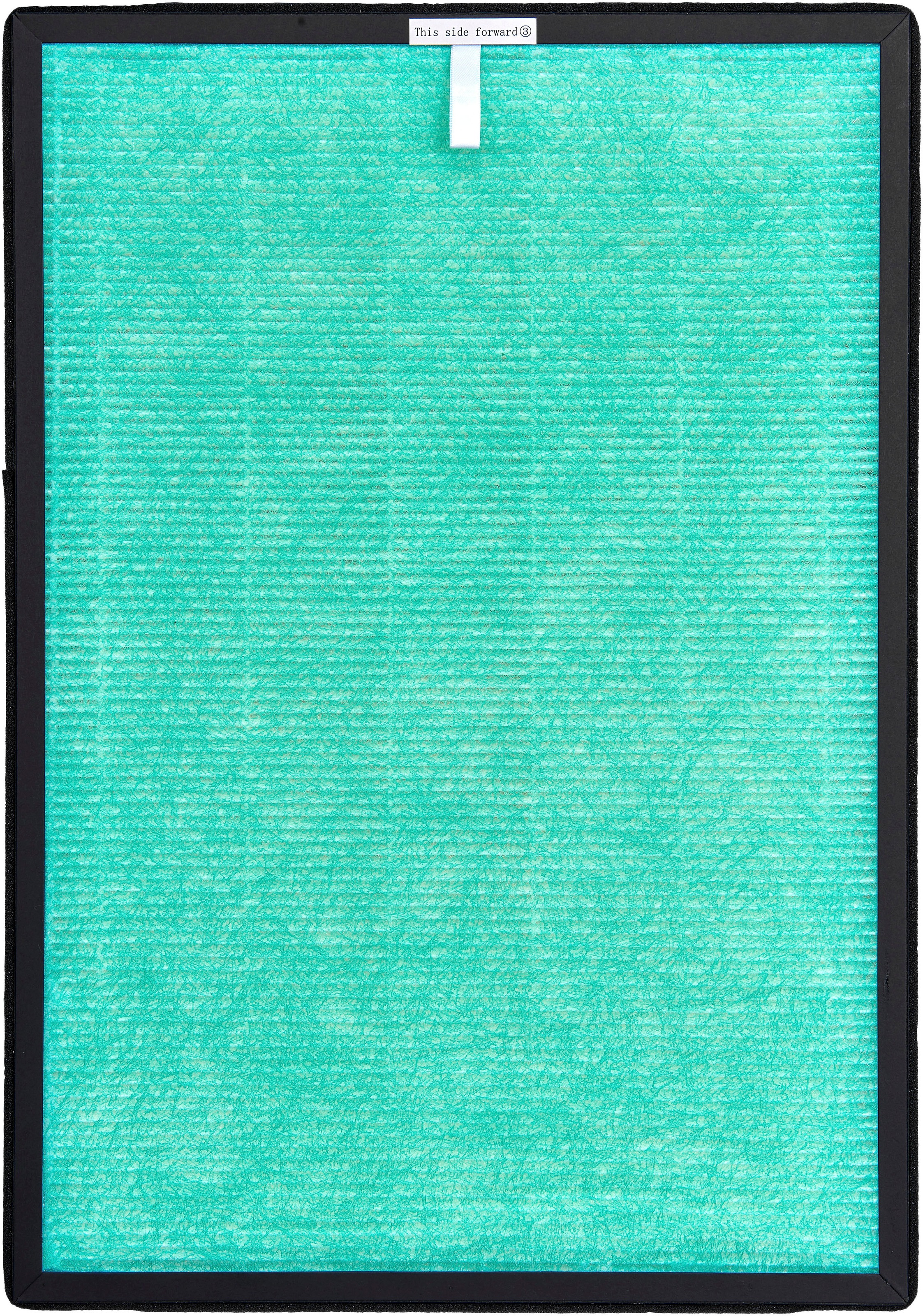 Gutfels Filter-Set "HEPA 14 für LR 67015 we" 2 Stk. tlg.