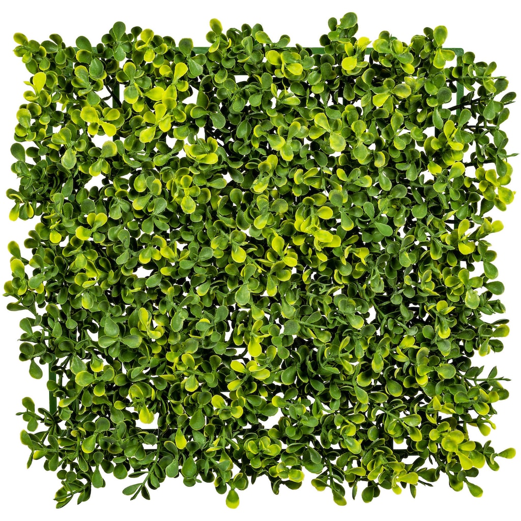 Creativ green Kunstpflanze »Buchsbaummatte«