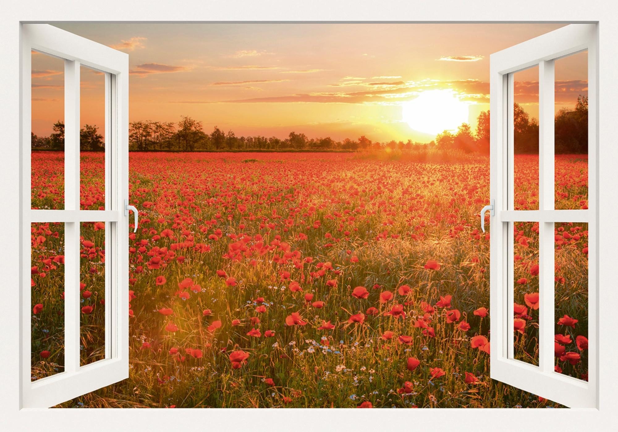 Image of Home affaire Leinwandbild »A. Zornetta: Mohnblumenfeld bei Sonnenuntergang« bei Ackermann Versand Schweiz