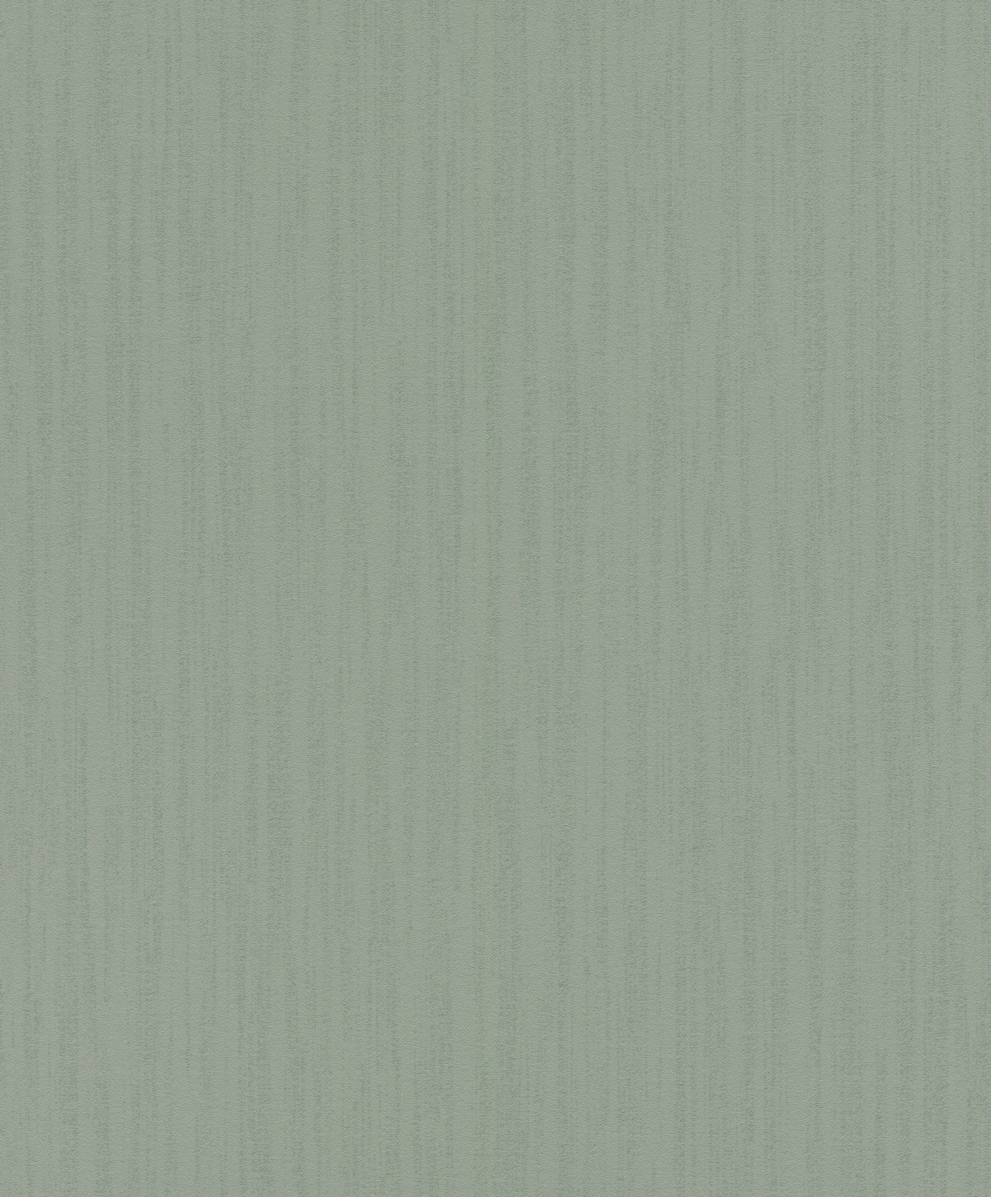 Image of Rasch Vliestapete »Unsere Besten 2022«, uni bei Ackermann Versand Schweiz