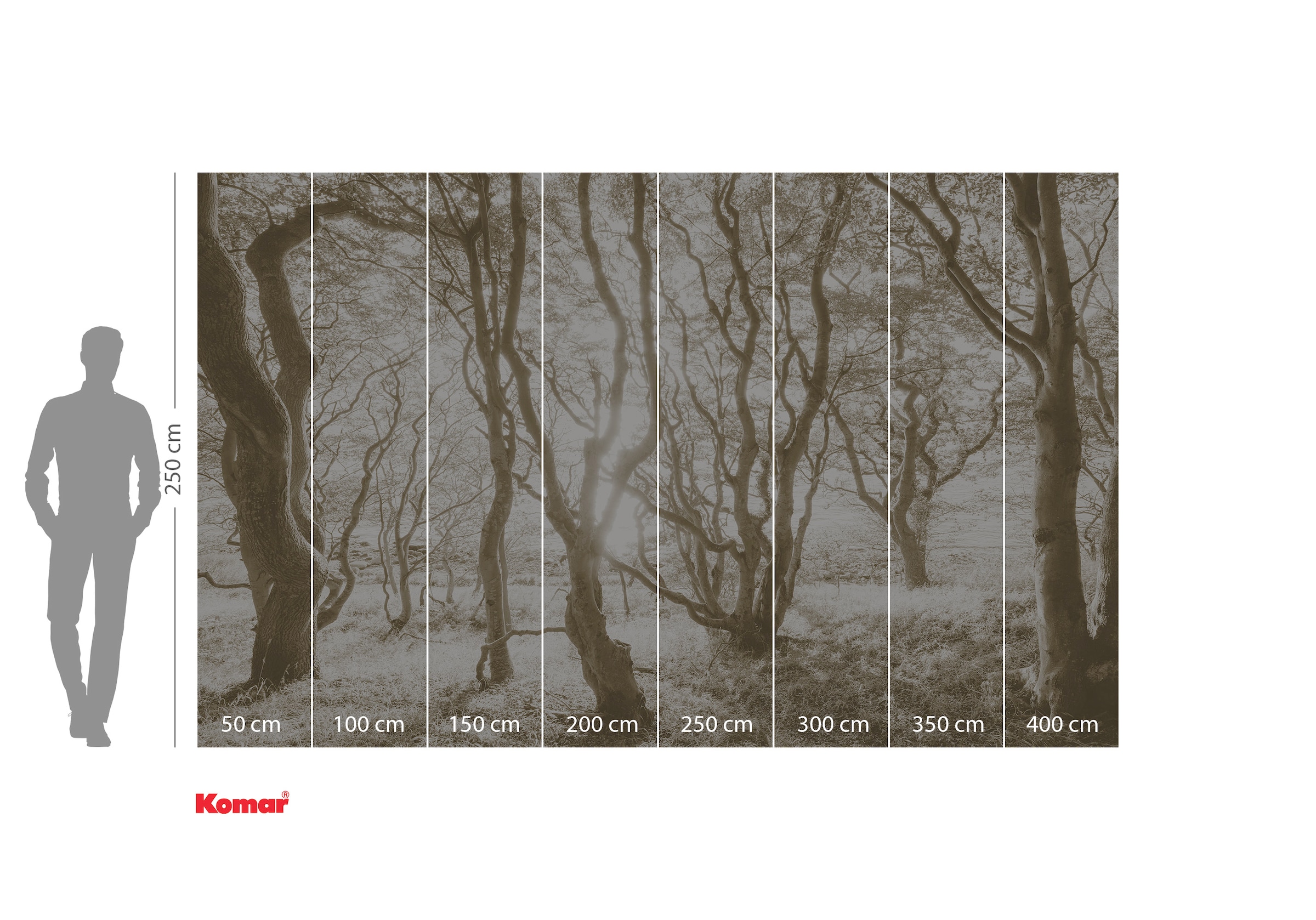 Komar Fototapete »Digitaldruck Vlies - Bleached Birch - Grösse 400 x 250 cm«, bedruckt-floral-geblümt-gemustert-tropisch, Wohnzimmer, Schlafzimmer