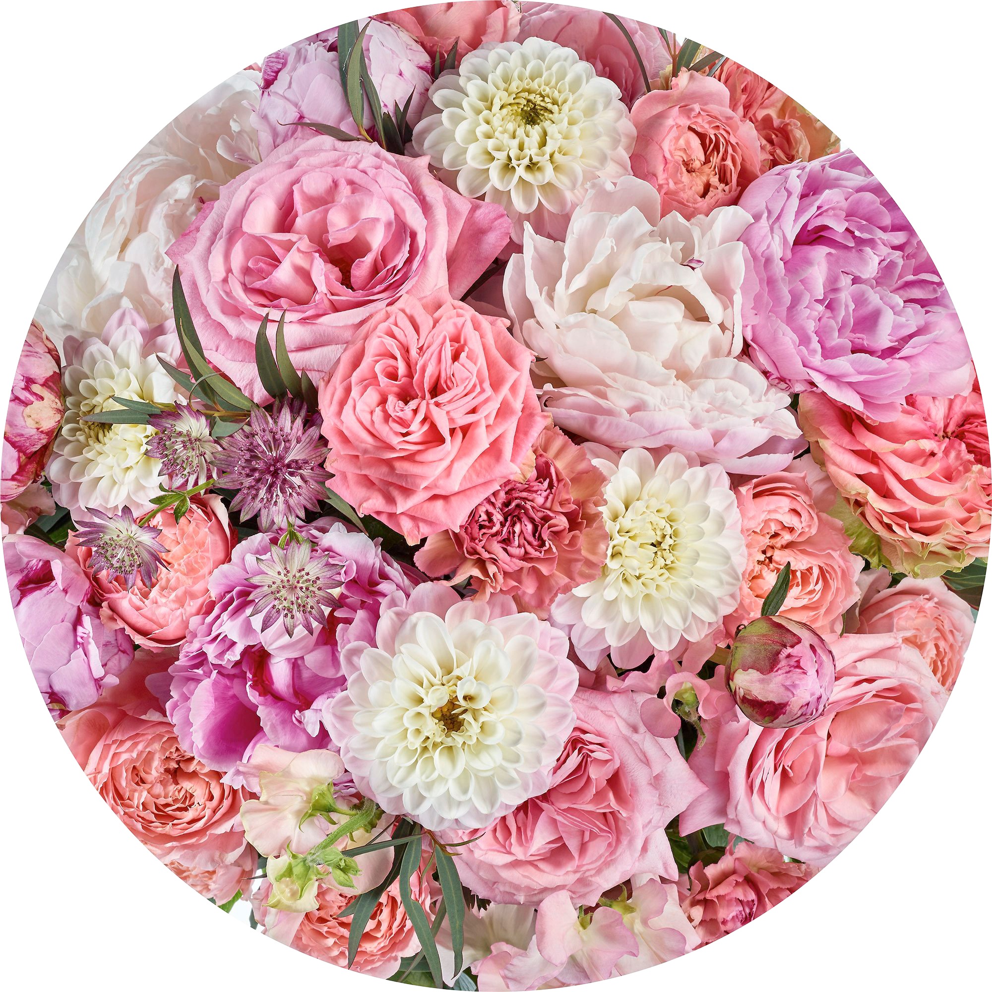 Image of Komar Fototapete "Vlies selbstklebend - Beautiful Blossoms - Grösse 125 x 125 cm" bedruckt glatt Wohnzimmer, Schlafzimmer