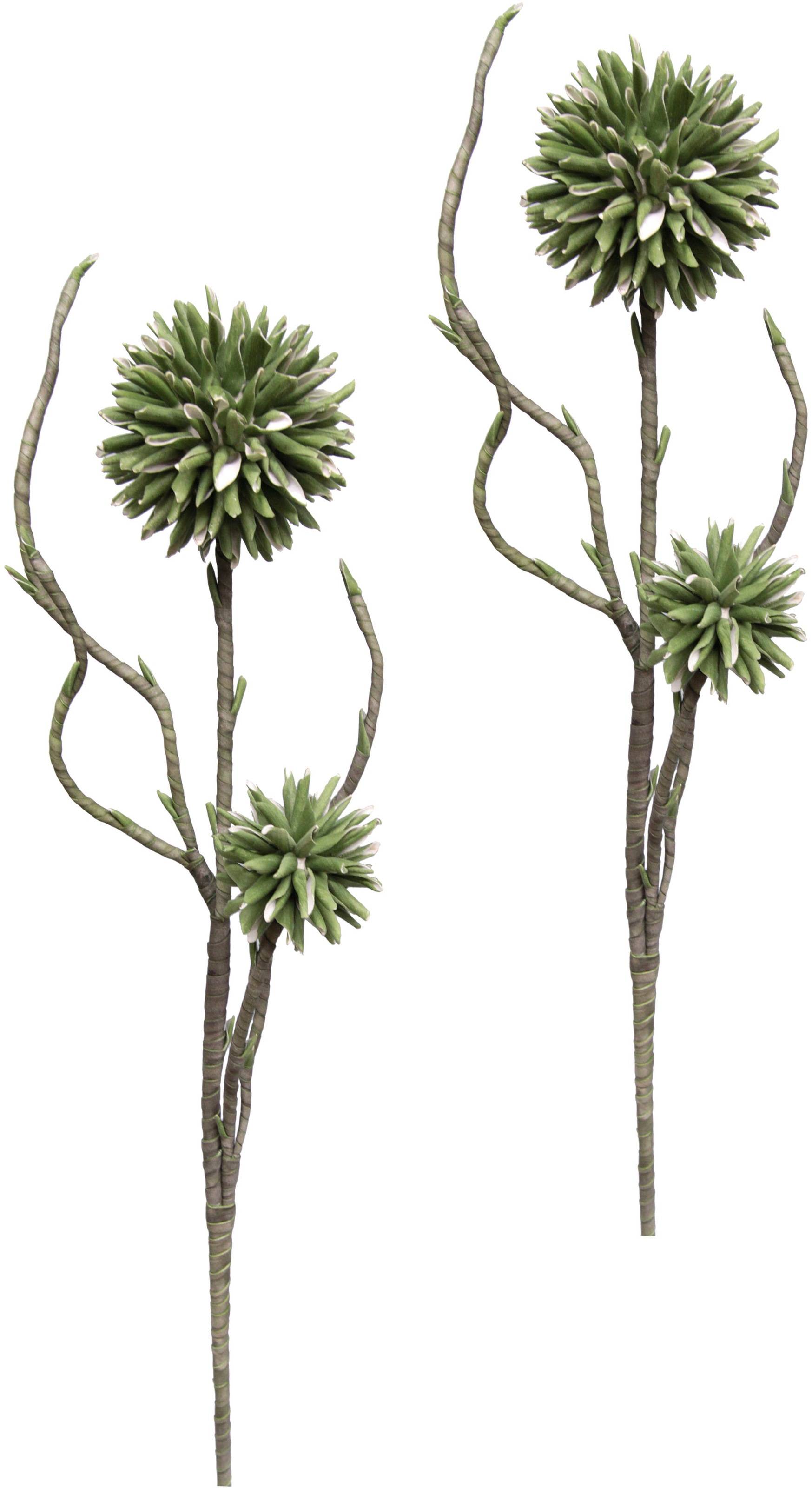 Image of I.GE.A. Kunstblume »Soft-Distelzweig«, (2 St.), 2er Set bei Ackermann Versand Schweiz