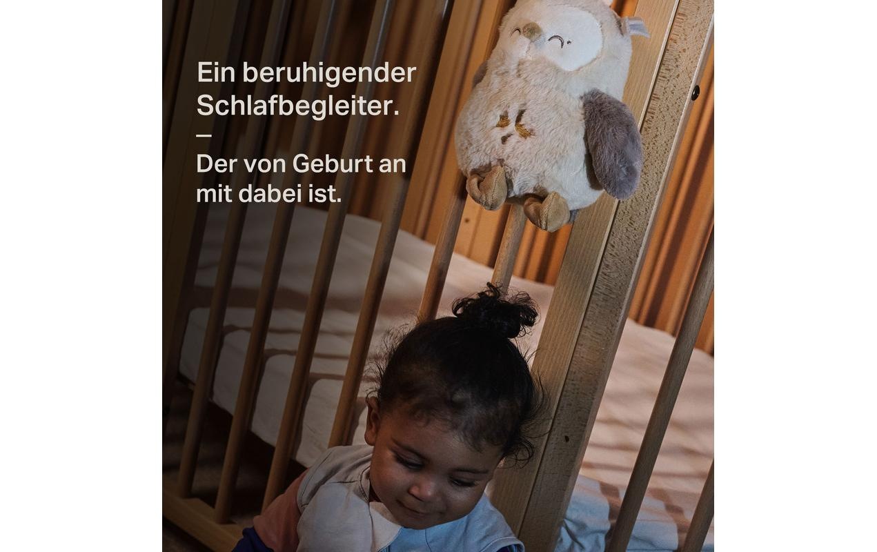 Tommee Tippee Boîte à musique »Tippee Einschlafhilfe Eule«