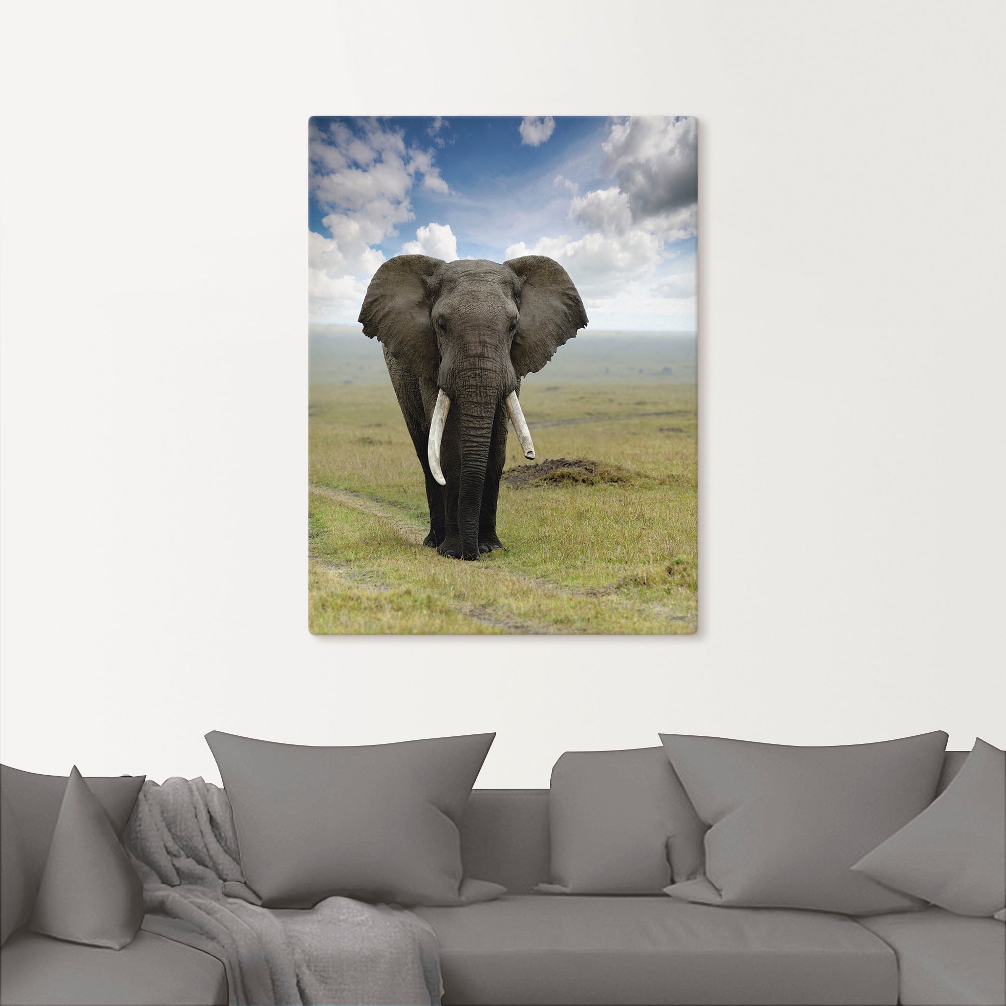 Artland Wandbild »Elefant«, Wildtiere, (1 St.), als Alubild, Outdoorbild, Leinwandbild, Poster in verschied. Grössen