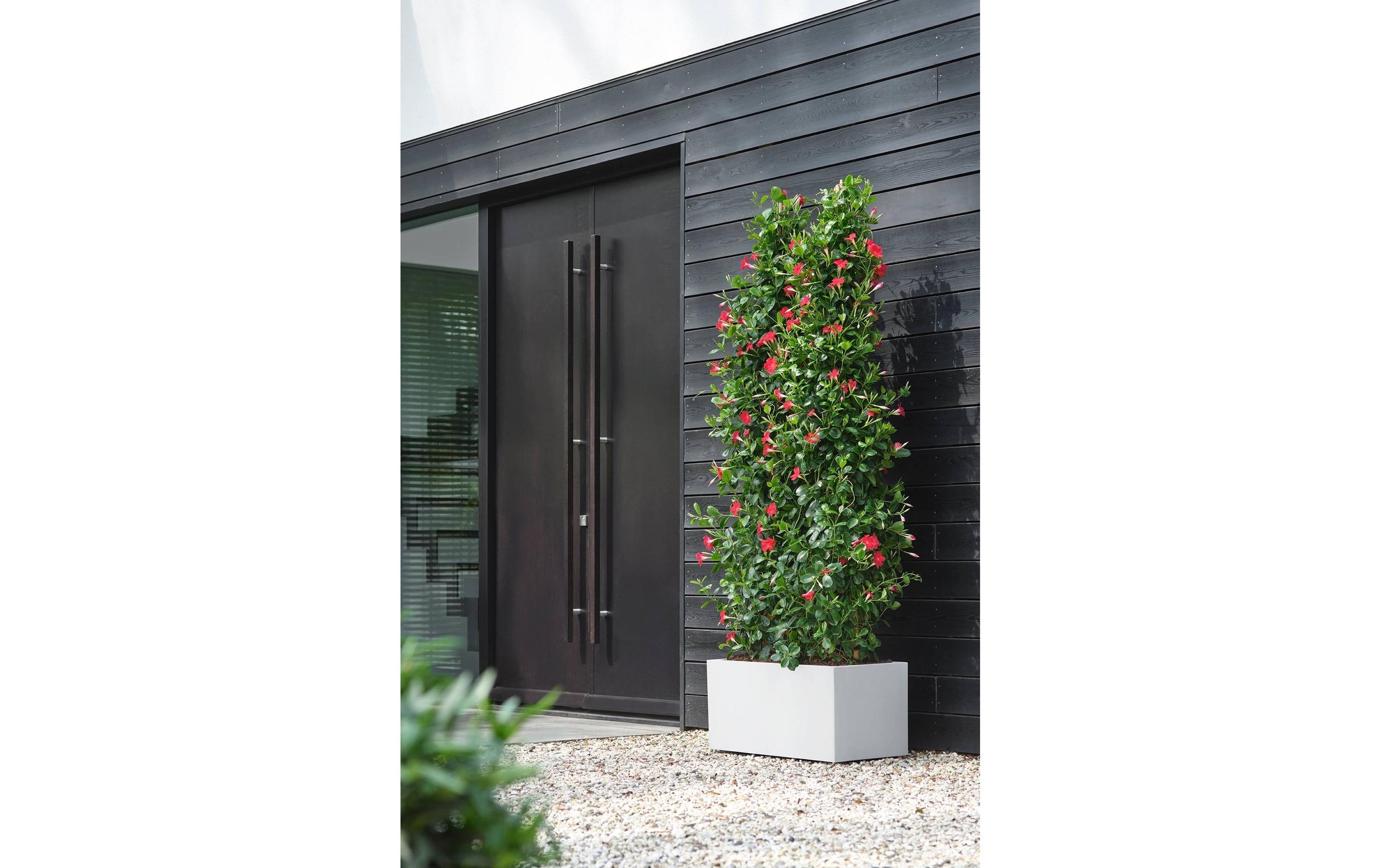 Elho Blumentopf »Vivo Next Lang 60 cm«