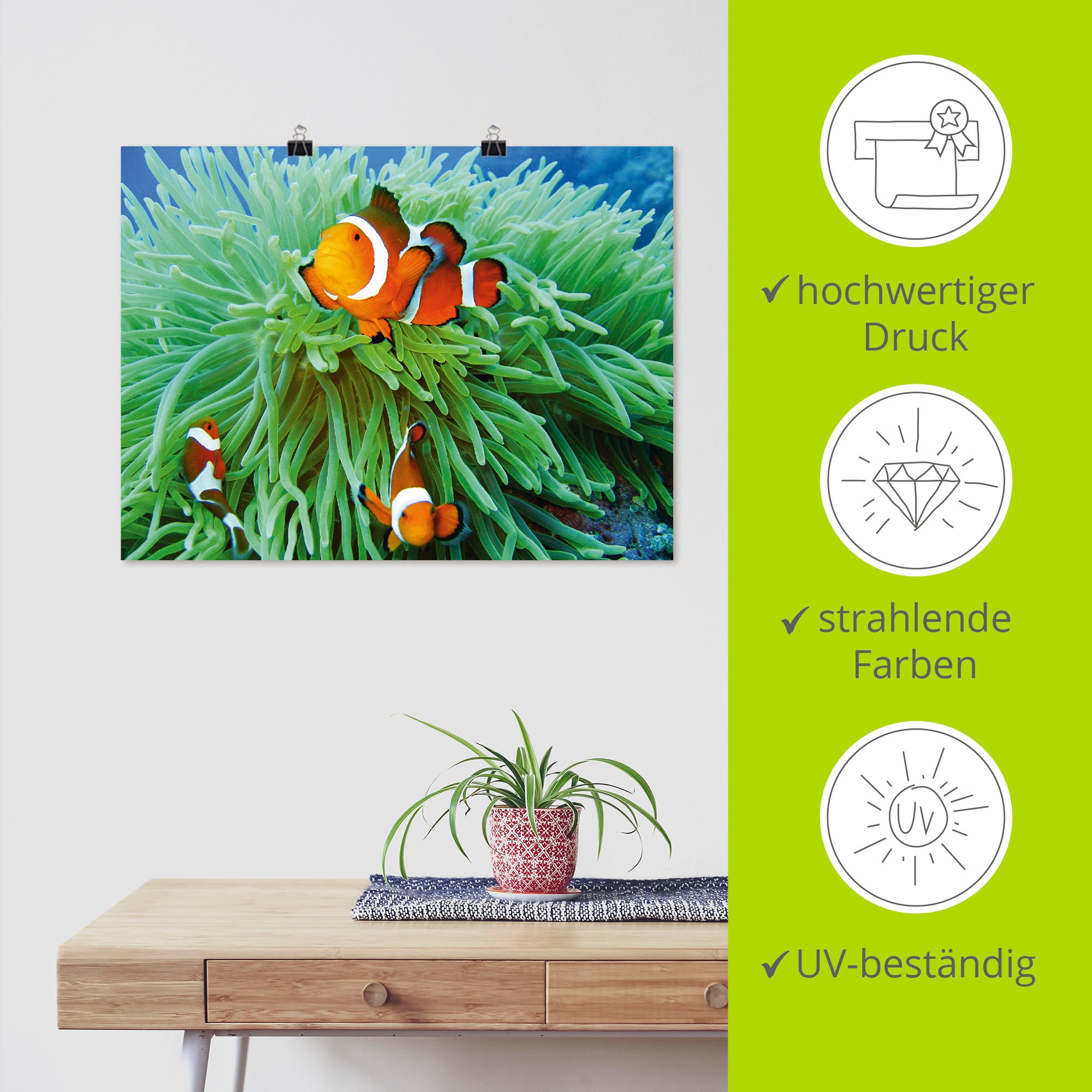 Artland Poster »Finde Nemo« Wassertiere 1 Stk. tlg. als Poster, Wandaufkleber in verschied. Grössen