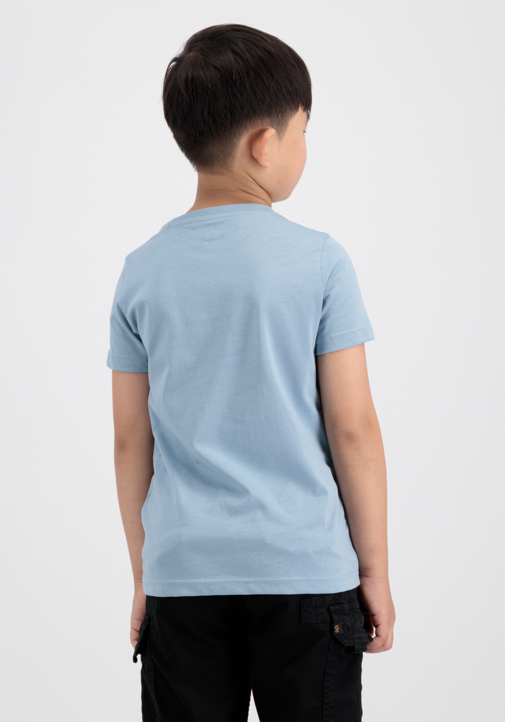 Alpha Industries T-shirt »Basic T-Shirt BL K«