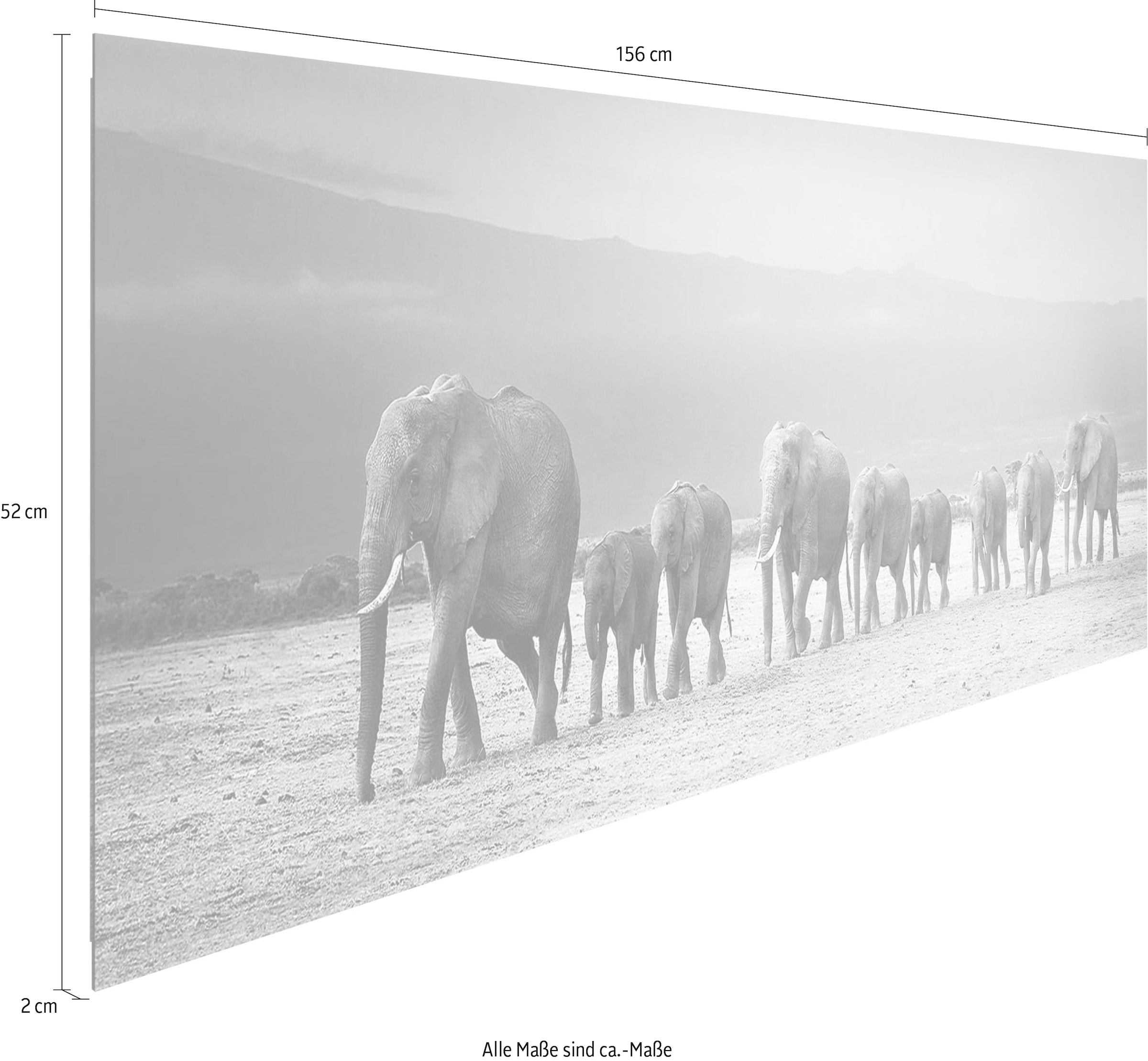 Reinders! Holzbild »Deco Panel günstig of kaufen Elephants« 52x156 Line