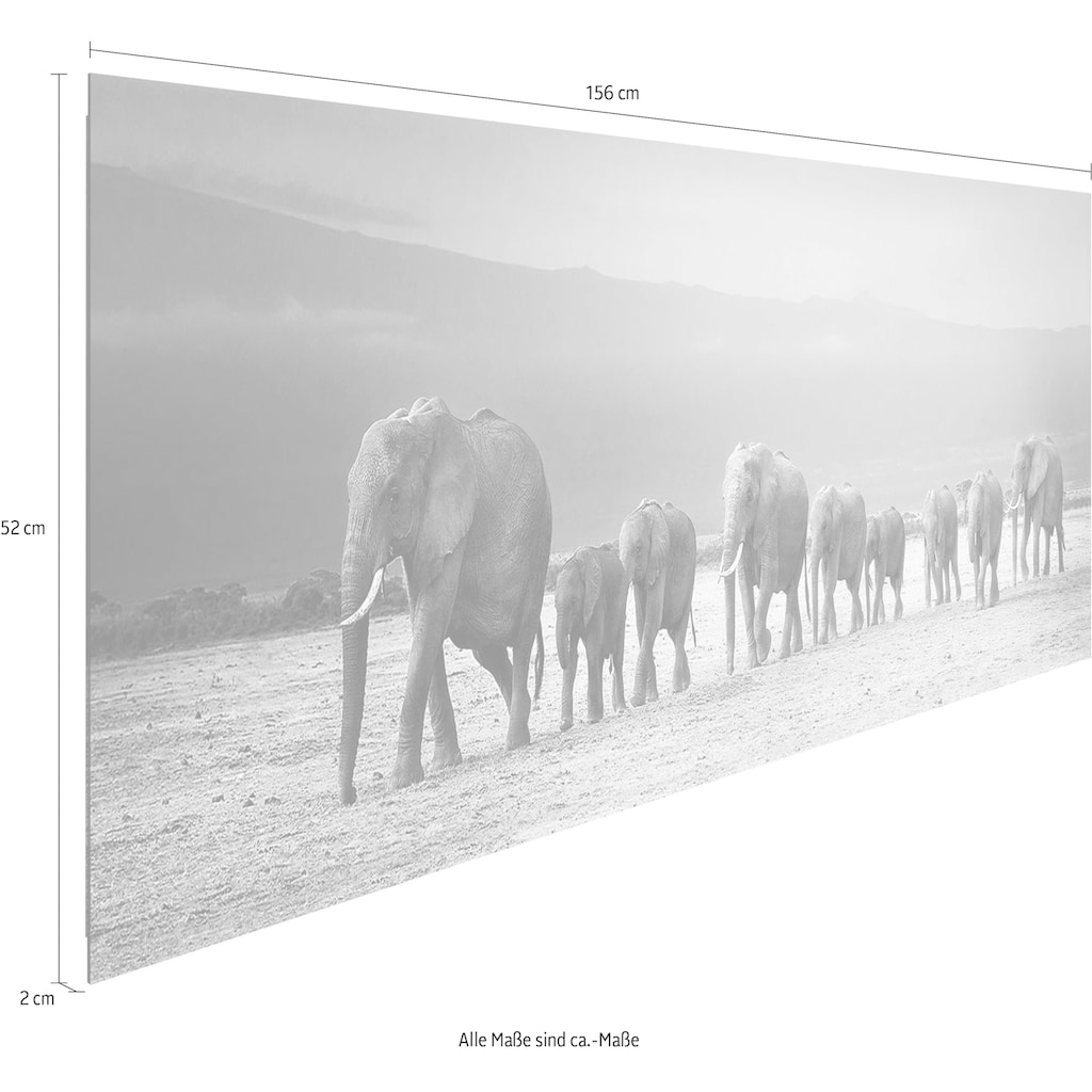 Reinders! Holzbild »Deco Panel 52x156 Line of Elephants«