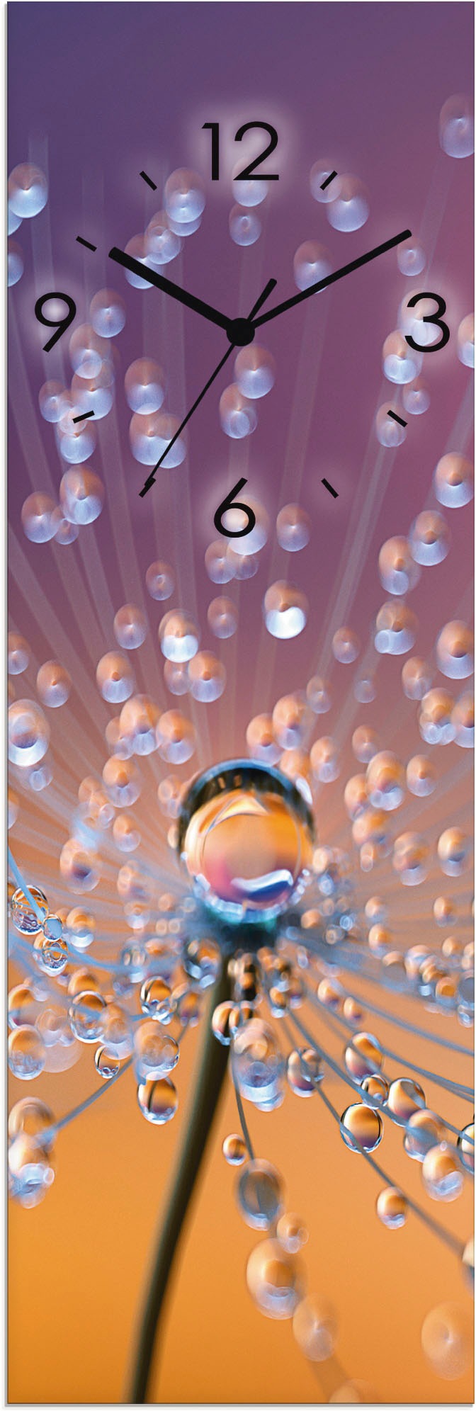 Image of Artland Wanduhr »Glasuhr Pusteblumen Tautropfen« bei Ackermann Versand Schweiz