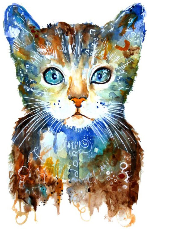Image of Wall-Art Wandtattoo »Lebensfreude - Kleine Katze«, (1 St.) bei Ackermann Versand Schweiz