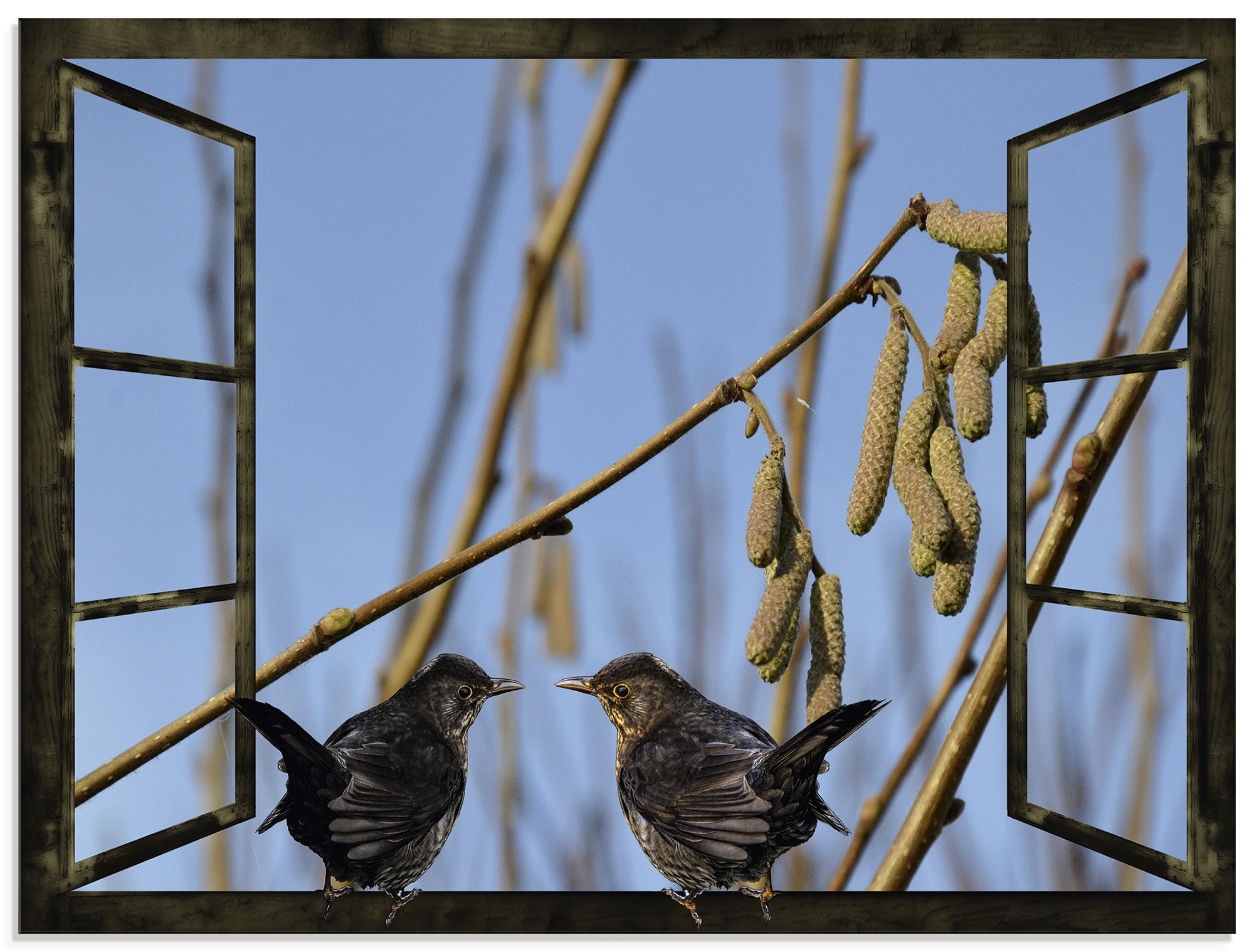 Image of Artland Glasbild »Fensterblick Amselgespräche im Frühling«, Vögel, (1 St.) bei Ackermann Versand Schweiz
