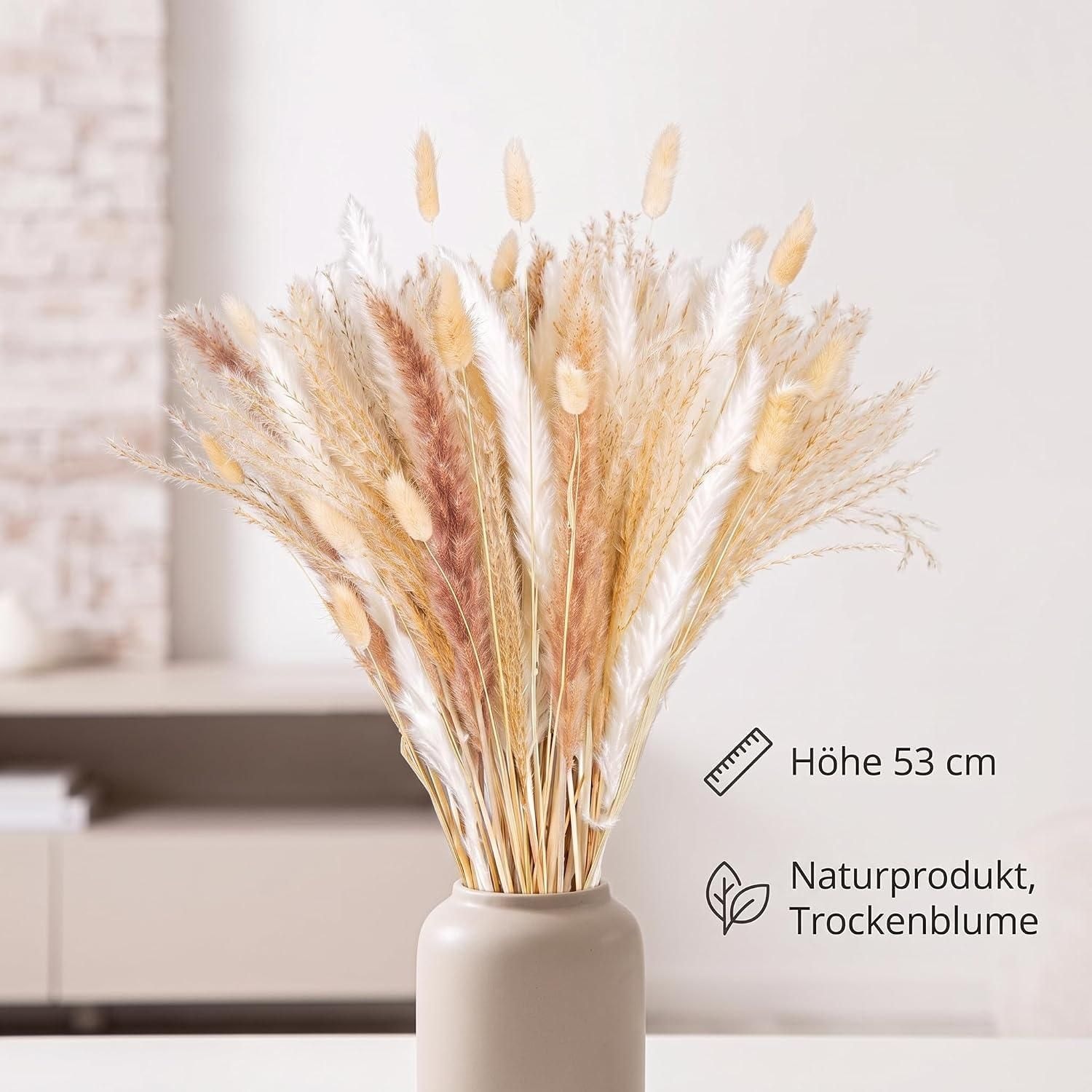 GILDE Objet décoratif »Bündel Trockenblume Seco naturfarben H. 53 cm«