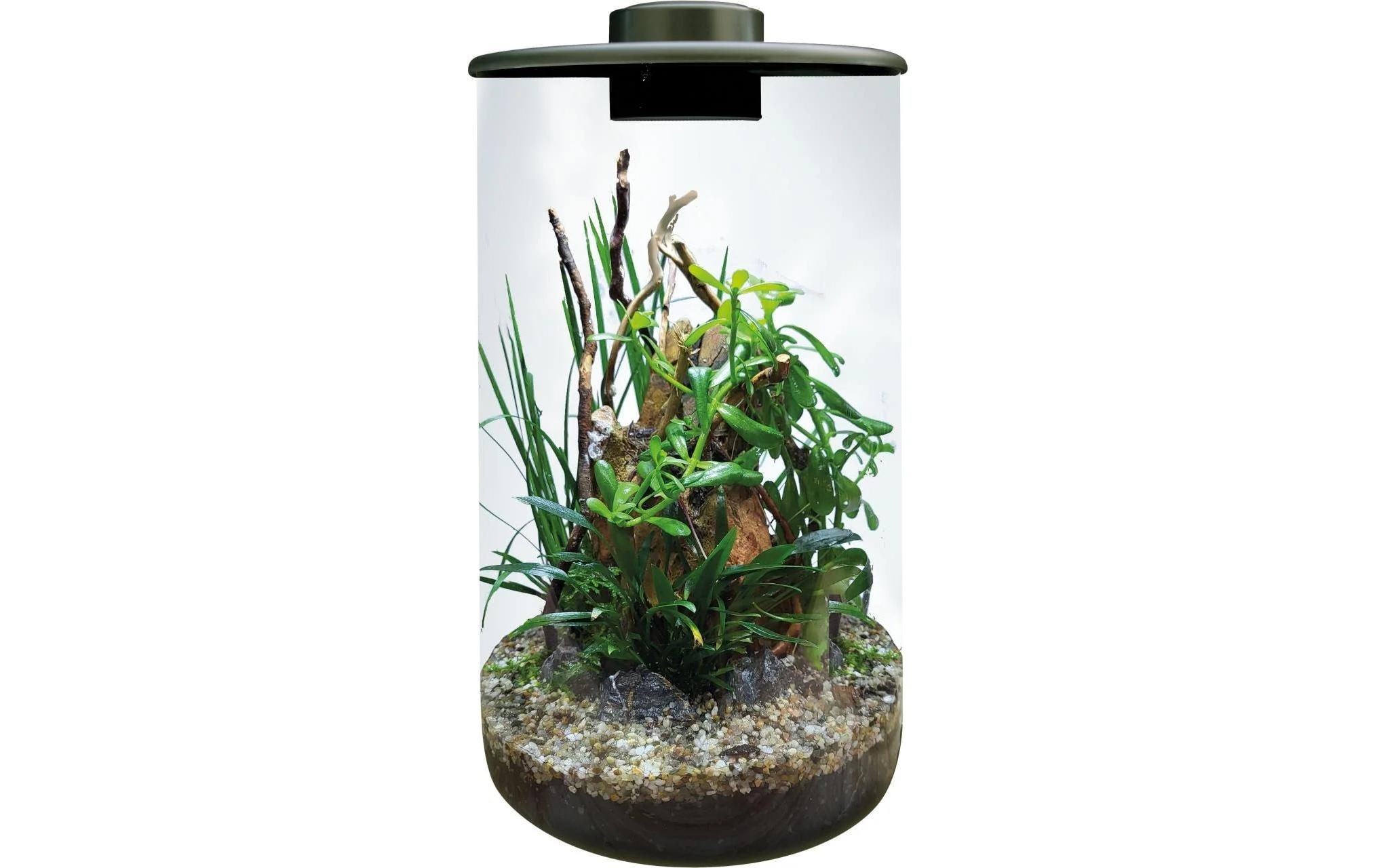 Image of LED Dekoobjekt "Bio Art Pflanzengefäss Cylinder 285"