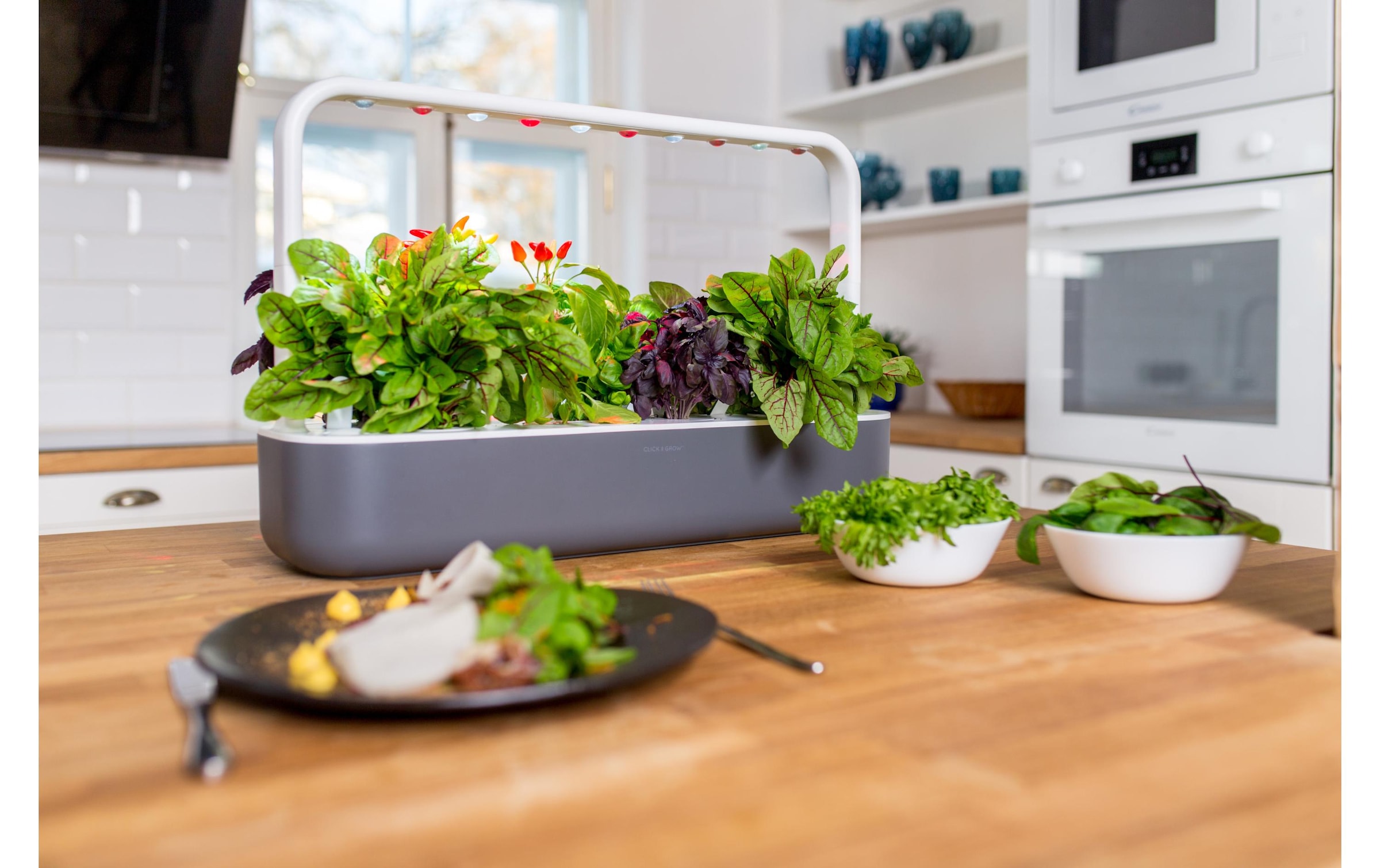 Click and Grow Kräutertopf »Smart Garden 9 Dunkelgrau«