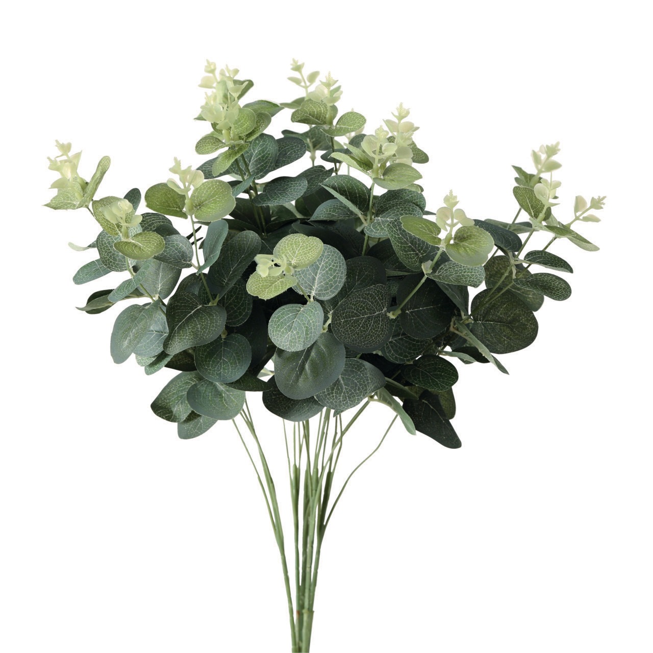 Image of andas Trockenblume »Byrum«, (1 St.), Dekozweig, Eukalyptus bei Ackermann Versand Schweiz