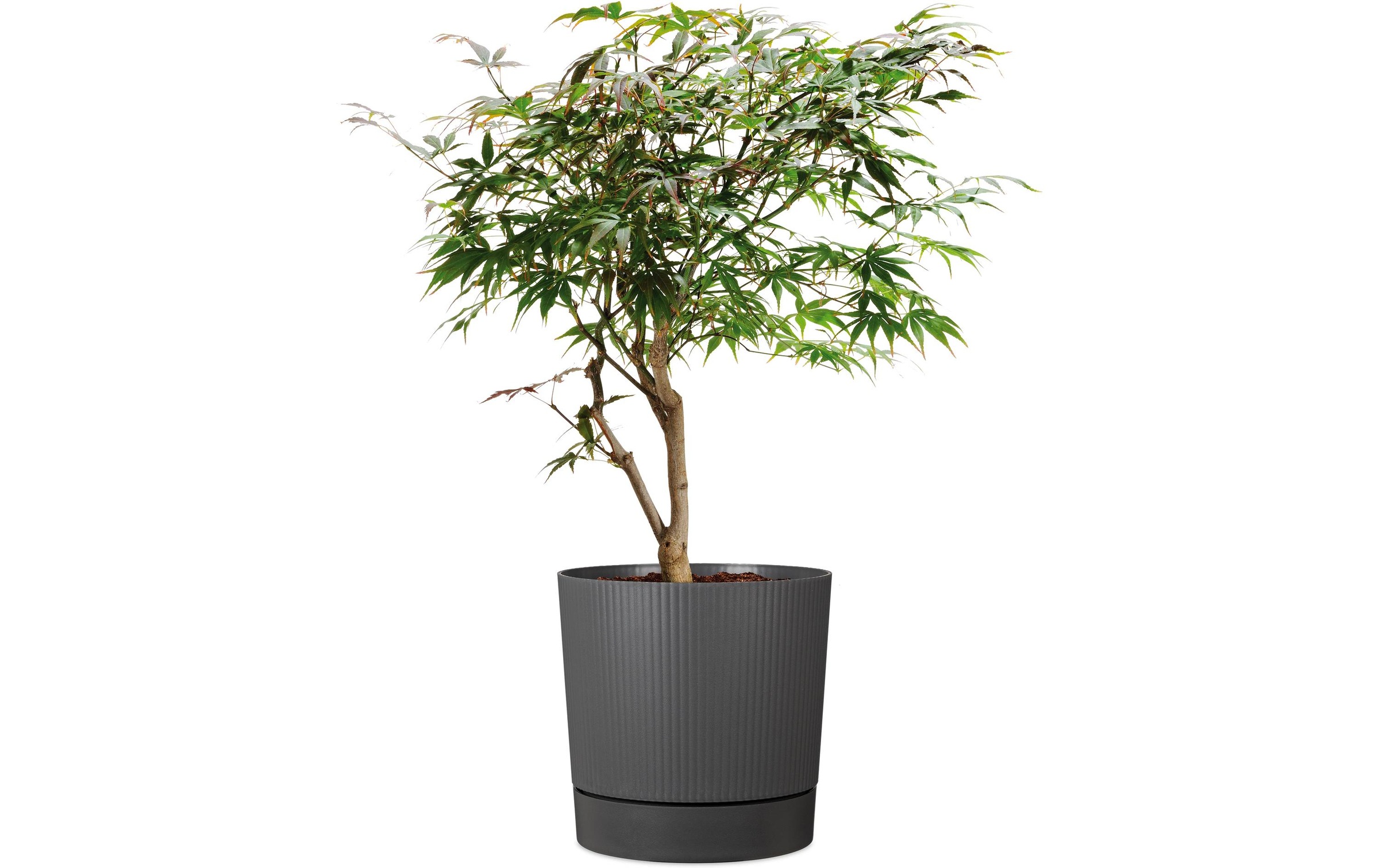 Garden ID Pot rond Lino + Réserve d'eau Gris métallique - Ø 47 cm H 46 cm - 43 L - Intérieur/Extérieur