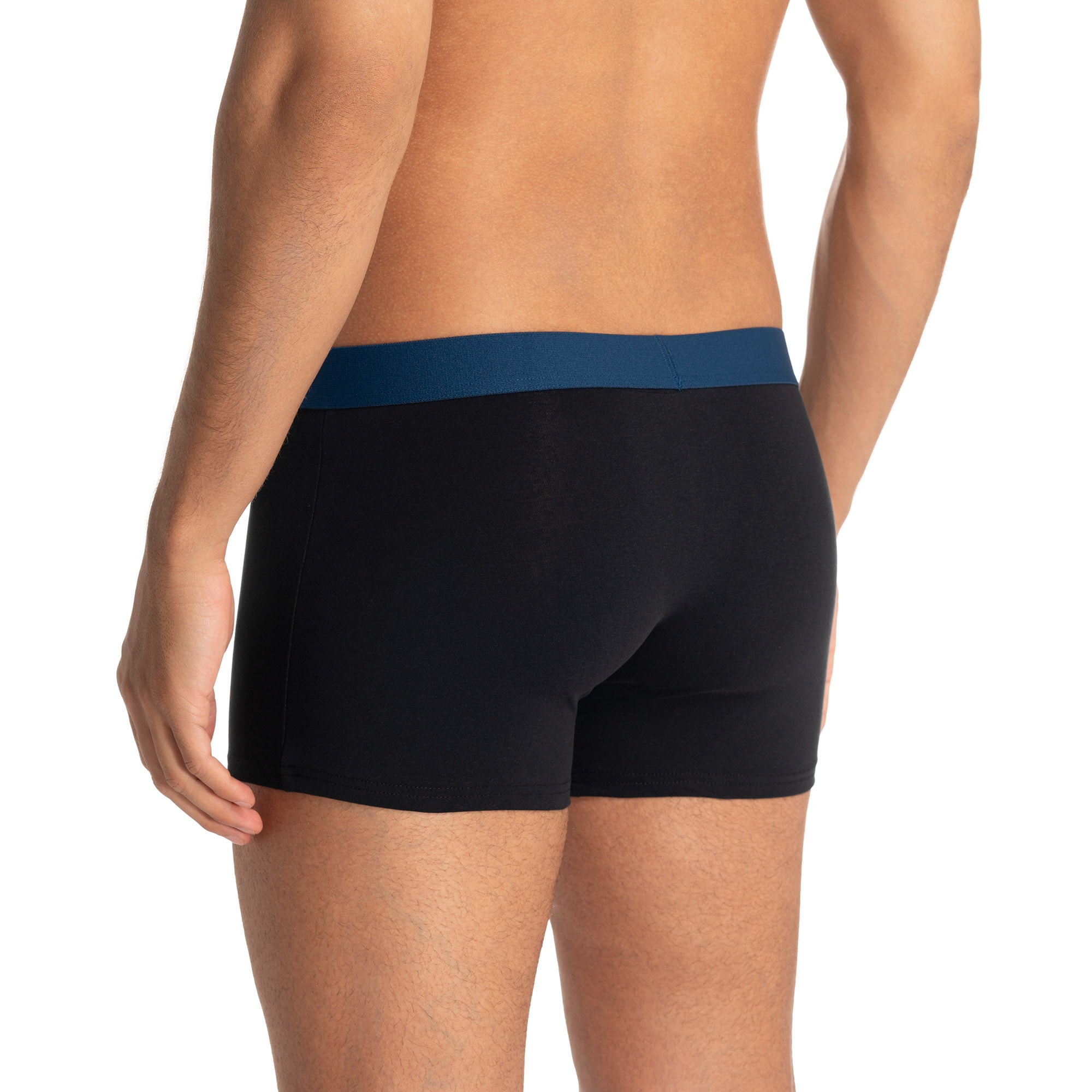 Bruno Banani Boxer »Flowing« mit kontrastreichem Logobund