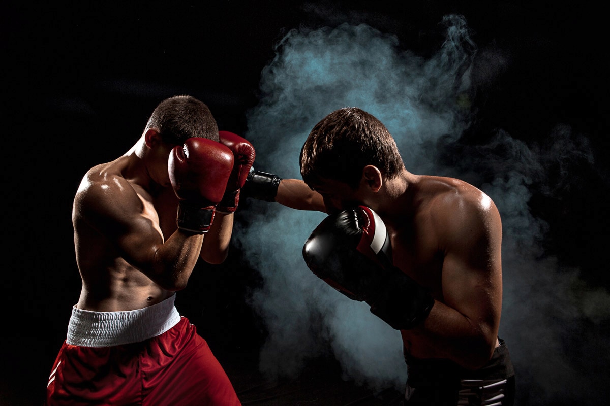 Image of Papermoon Fototapete "Boxer"