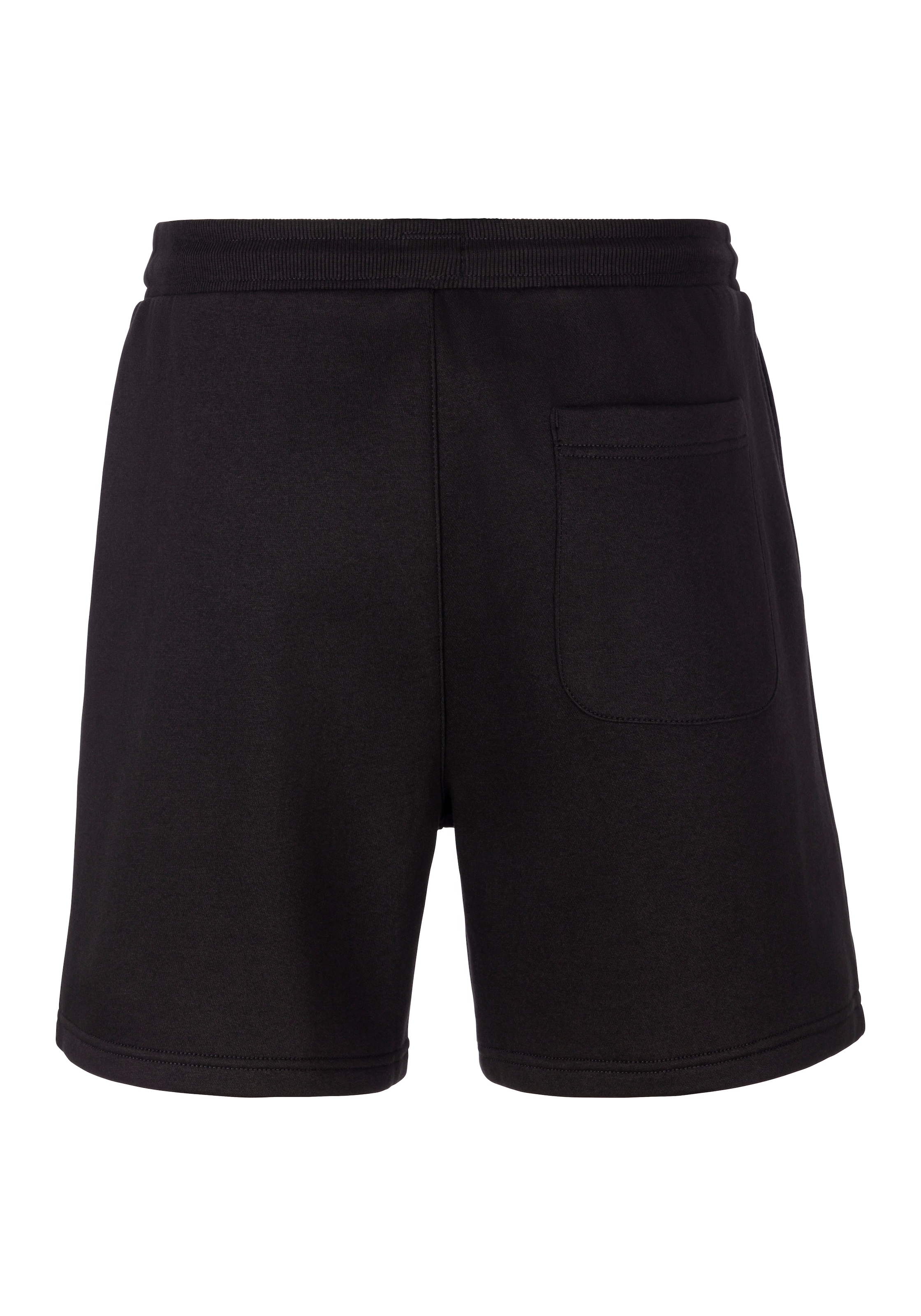 Tommy Jeans Sweatshorts »TJM FLAG BEACH«