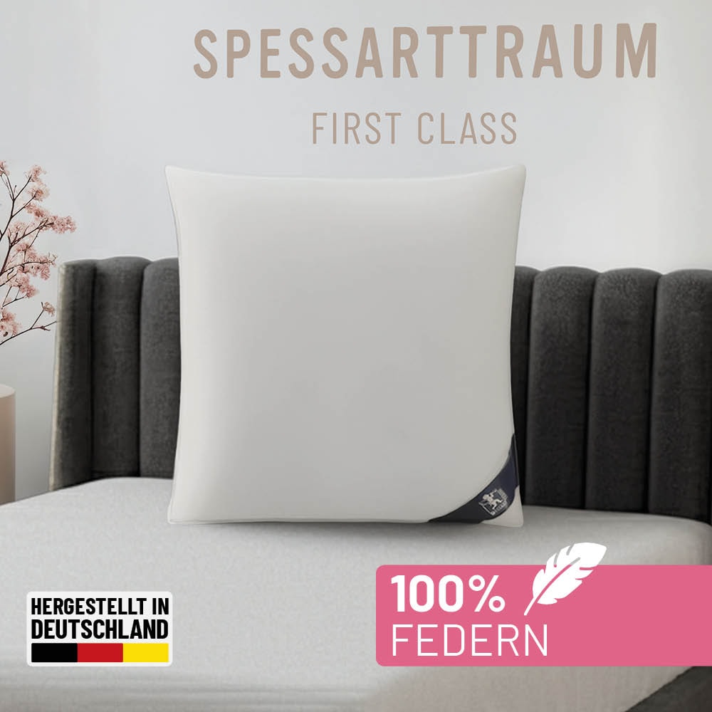 Image of SPESSARTTRAUM Federkissen "FIRST CLASS, Kopfkissen 1-tlg. oder 2-tlg. 40x80 oder 80x80 cm" Füllung: 100% Federn 1 Stk. tlg. hergestellt in Deutschland, allergikerfreundlich, im Set günstiger
