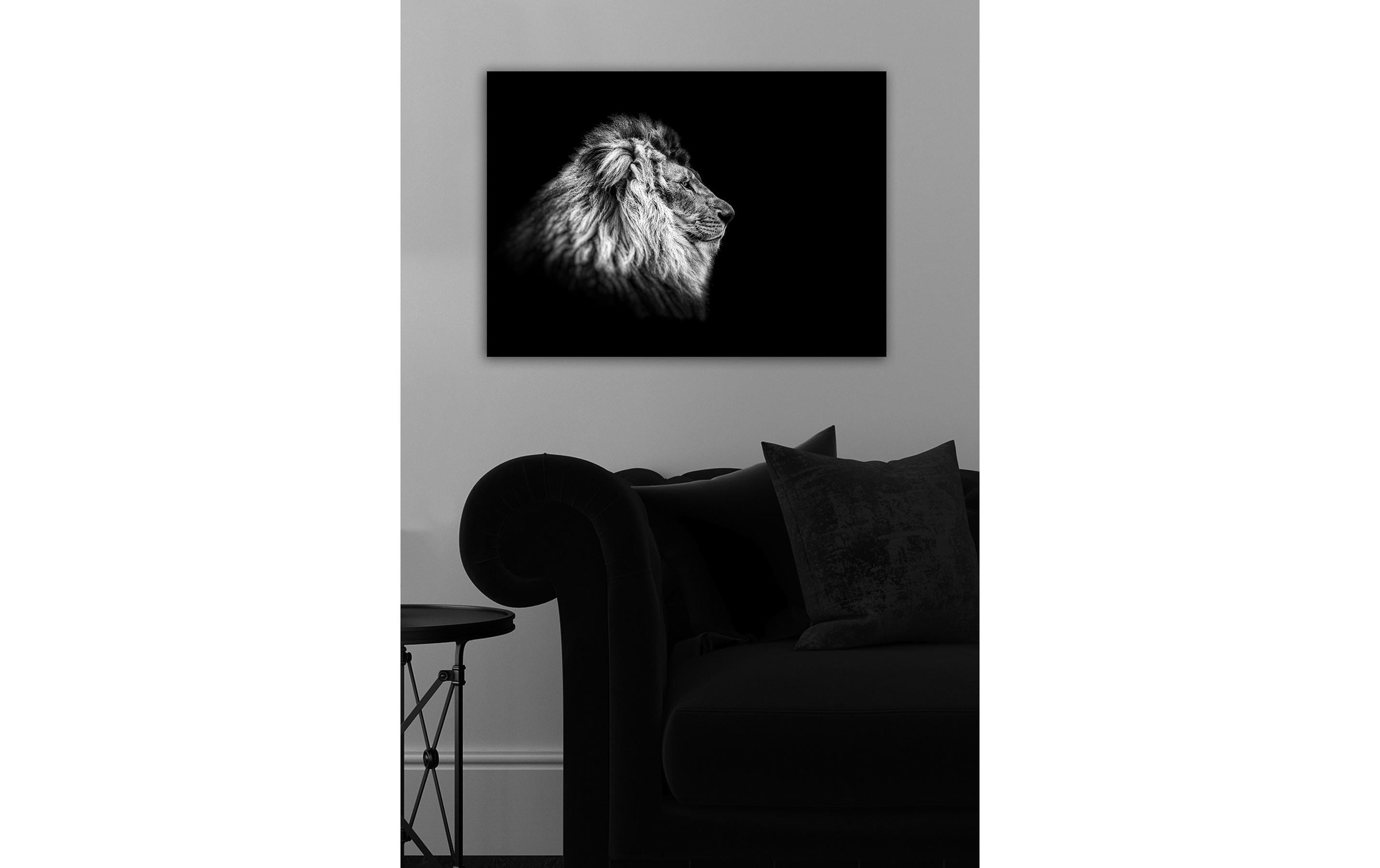 Wandbild »Wallxpert Löwe«, Löwe