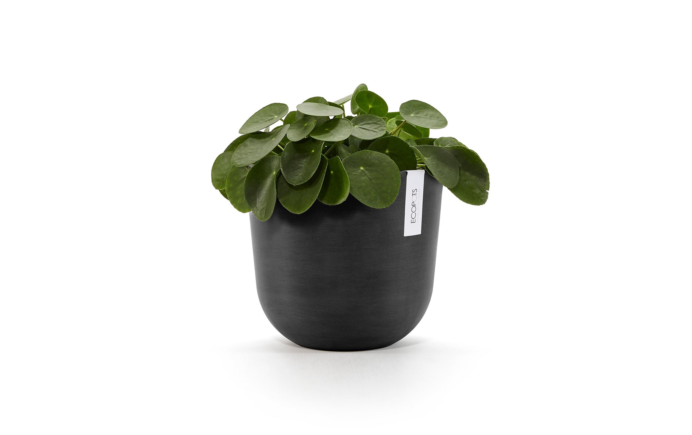 ECOPOTS Blumentopf »Oslo 25 Dunkel«