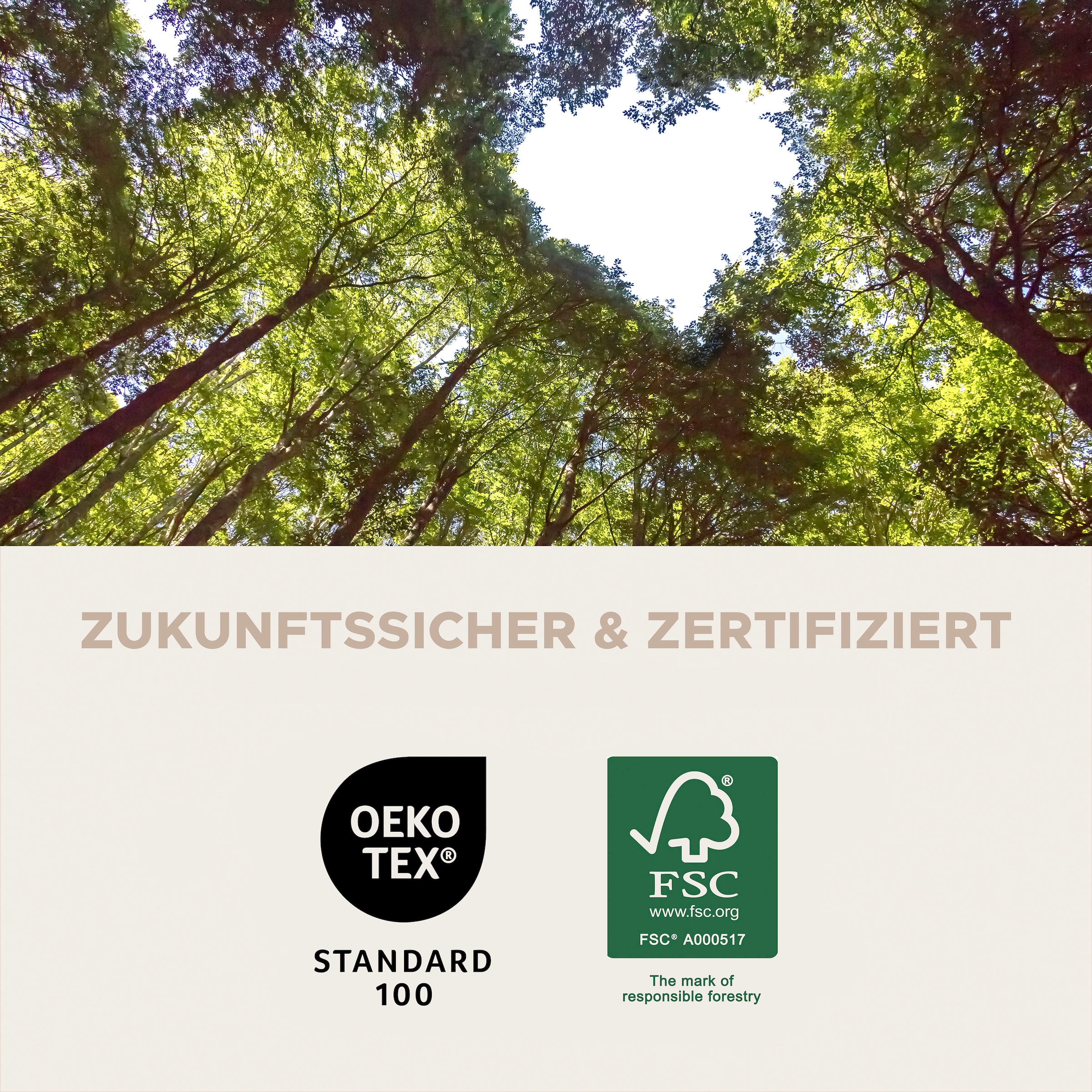 Home affaire Esszimmerstuhl »DAWSON, 2er Set, mit Metallgestell in matt schwarz« (Set) 2 Stk.in verschiedenen Farben, Belsatbarkeit pro Stuhl 120 kg