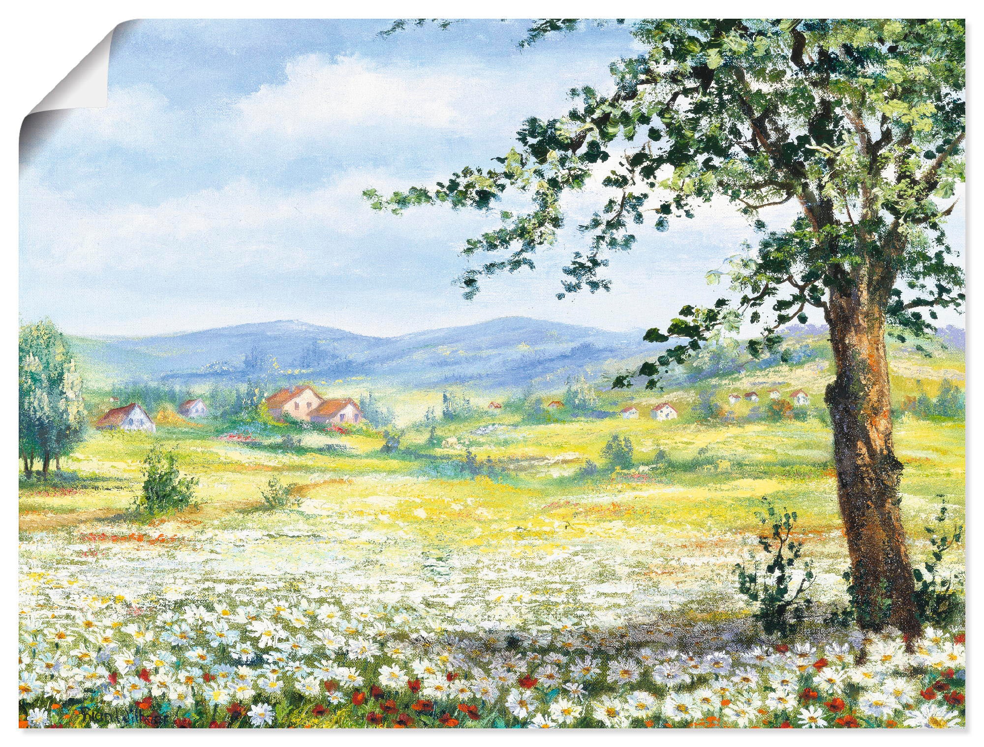 Artland Wandbild Wandaufkleber kaufen Poster Grössen versch. günstig St.), als Wiesen & »Margeritenfeld«, oder Leinwandbild, in Bäume, (1