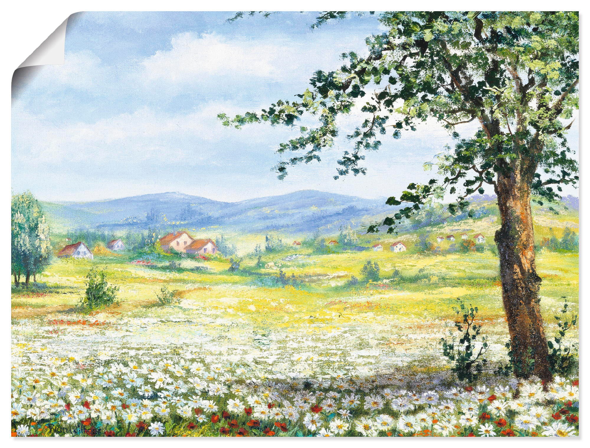 Image of Artland Wandbild »Margeritenfeld«, Wiesen & Bäume, (1 St.), in vielen Grössen & Produktarten -Leinwandbild, Poster, Wandaufkleber / Wandtattoo auch für Badezimmer geeignet bei Ackermann Versand Schweiz