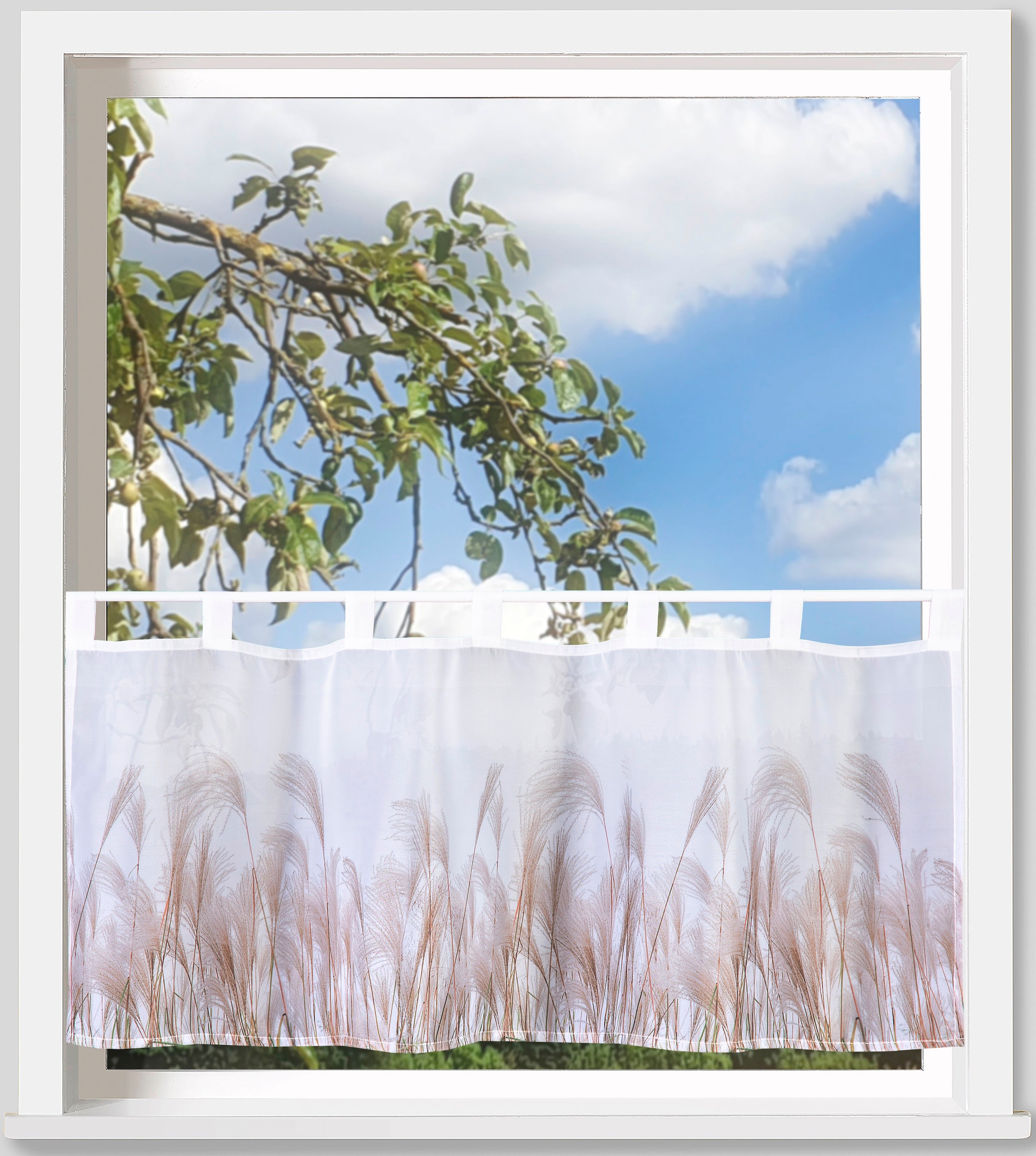 Image of Weckbrodt Scheibengardine "Pampasgras" Schlaufen 1 Stk. tlg. Bistro, Voile, bedruckt, floral, HxB 45x120cm, Gardine, Store