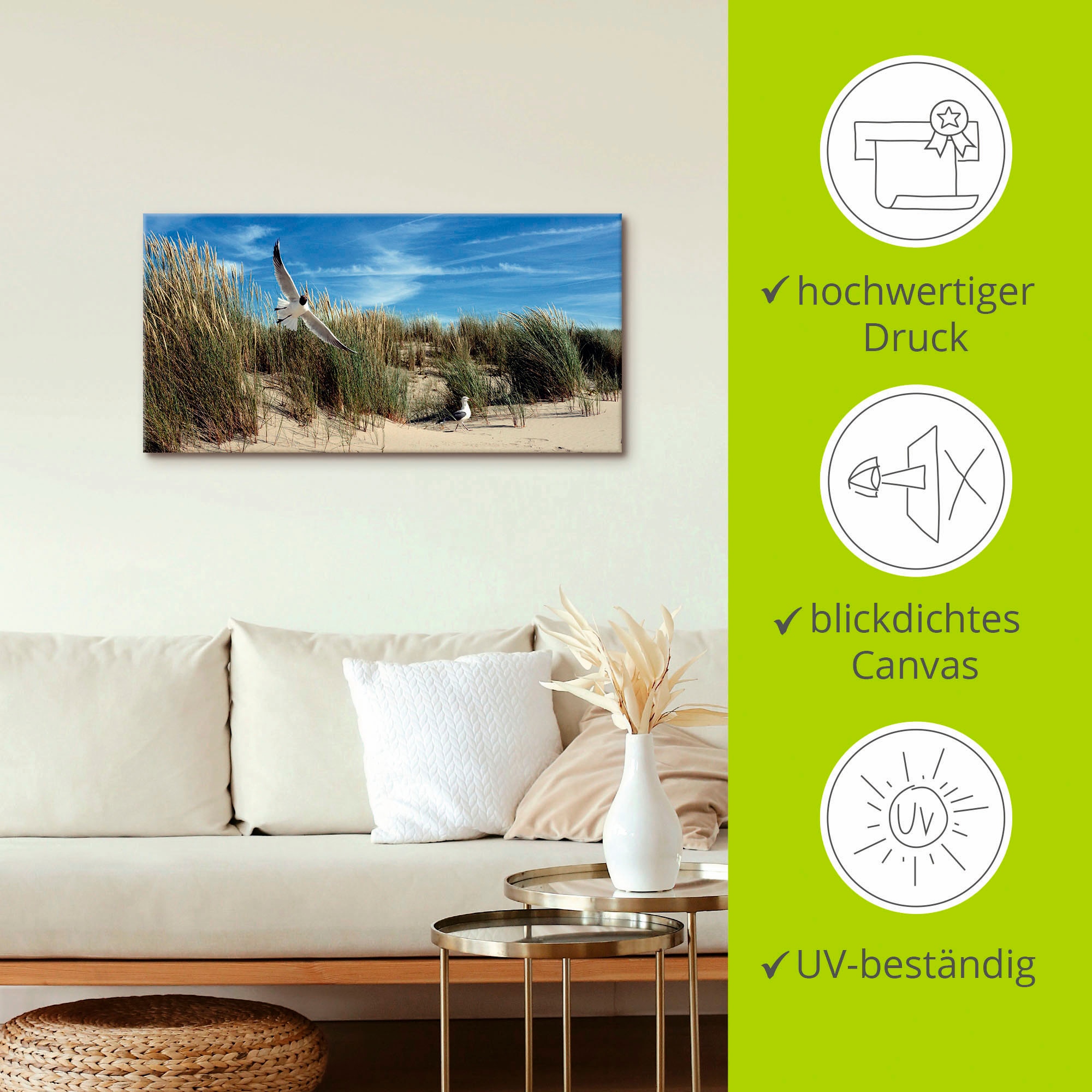 Artland Leinwandbild »Möwe und Seeschwalbe in Dünenlandschaft« Vögel 1 Stk. tlg. auf Holzrahmen gespannt