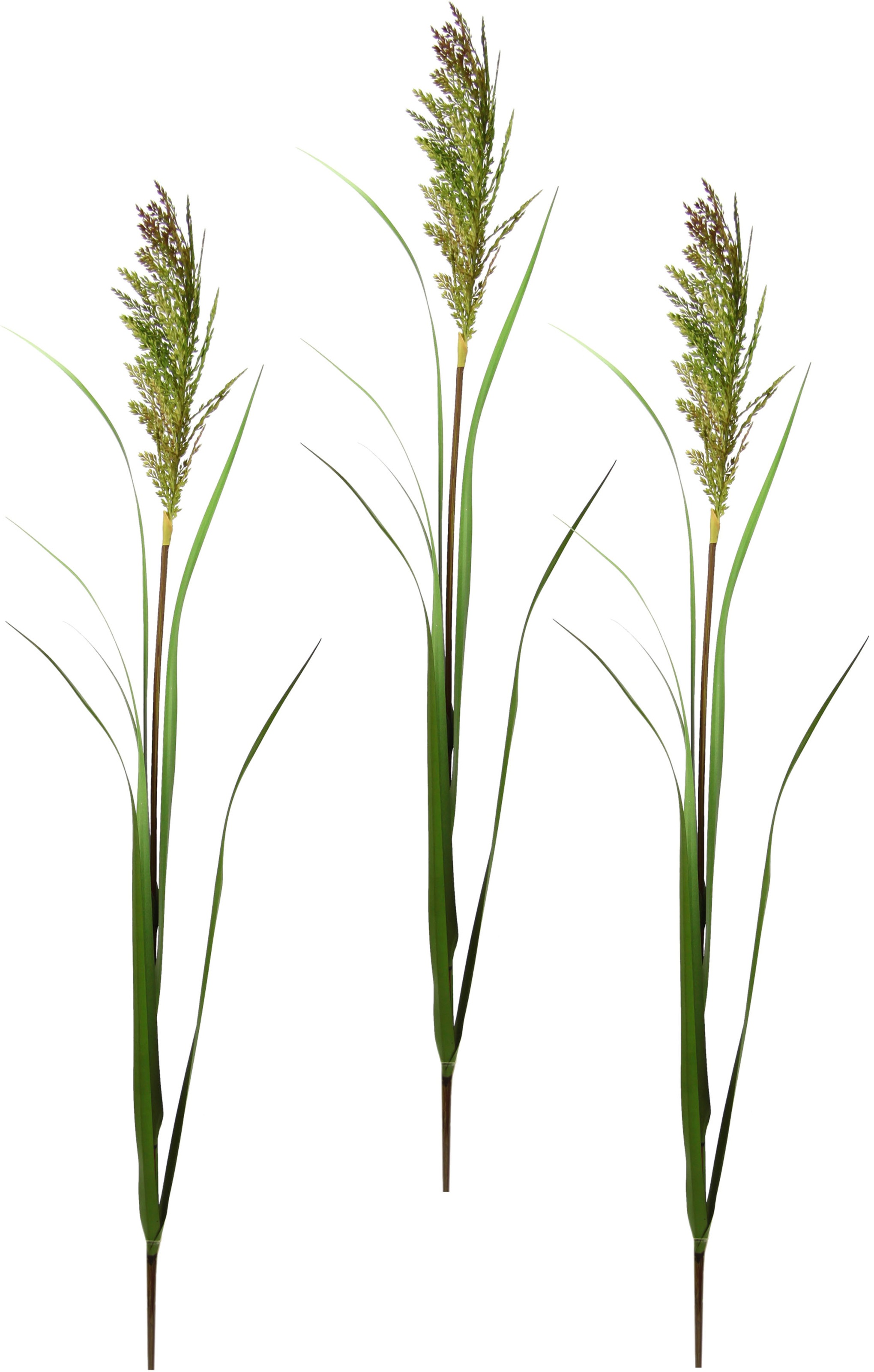 Image of I.GE.A. Kunstpflanze »Gras«, (3 St.), Dekozweig, 3er Set bei Ackermann Versand Schweiz