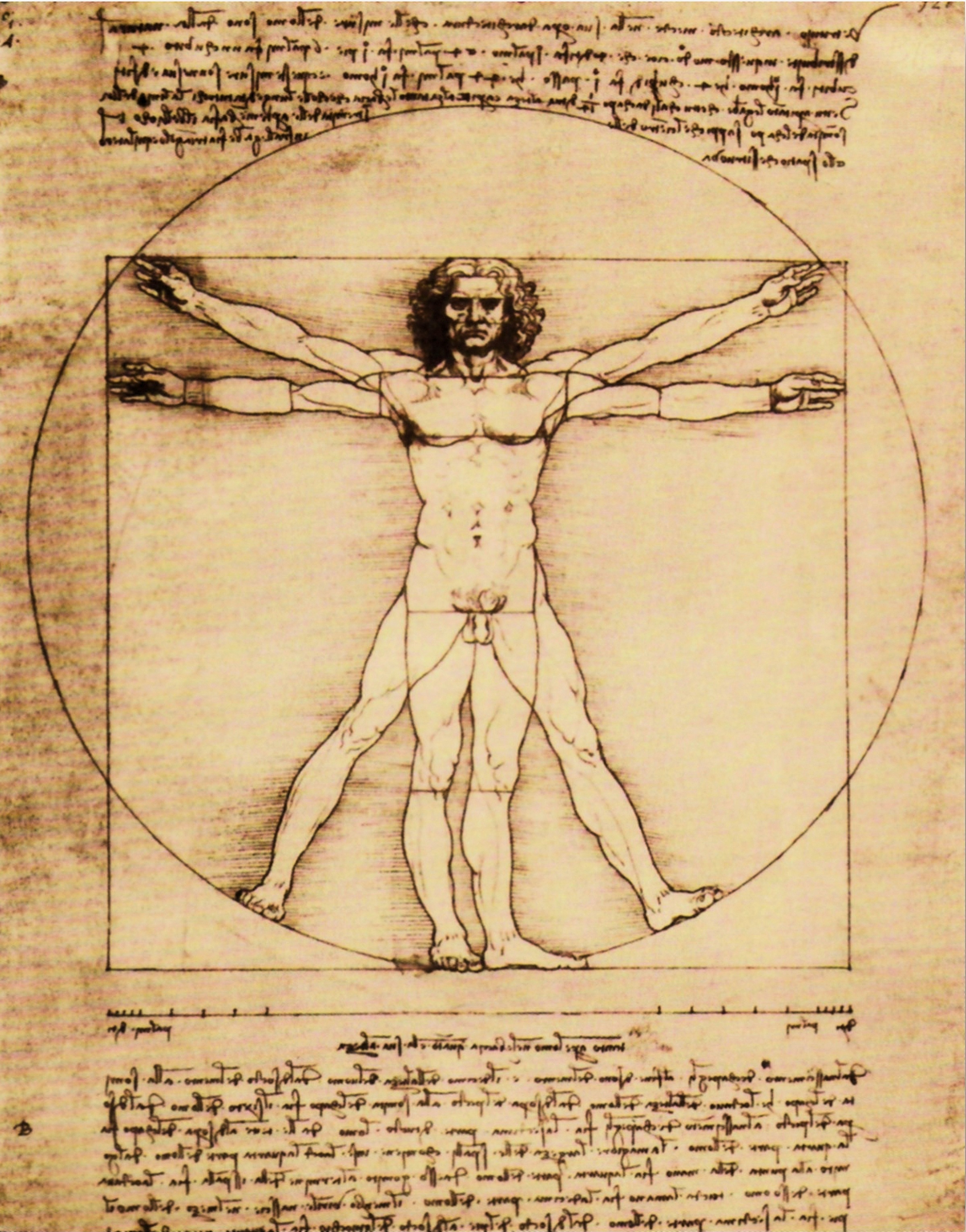 Image of my home Kunstdruck »L.DA VINCI / Schema della Proporzioni«, (1 St.) bei Ackermann Versand Schweiz