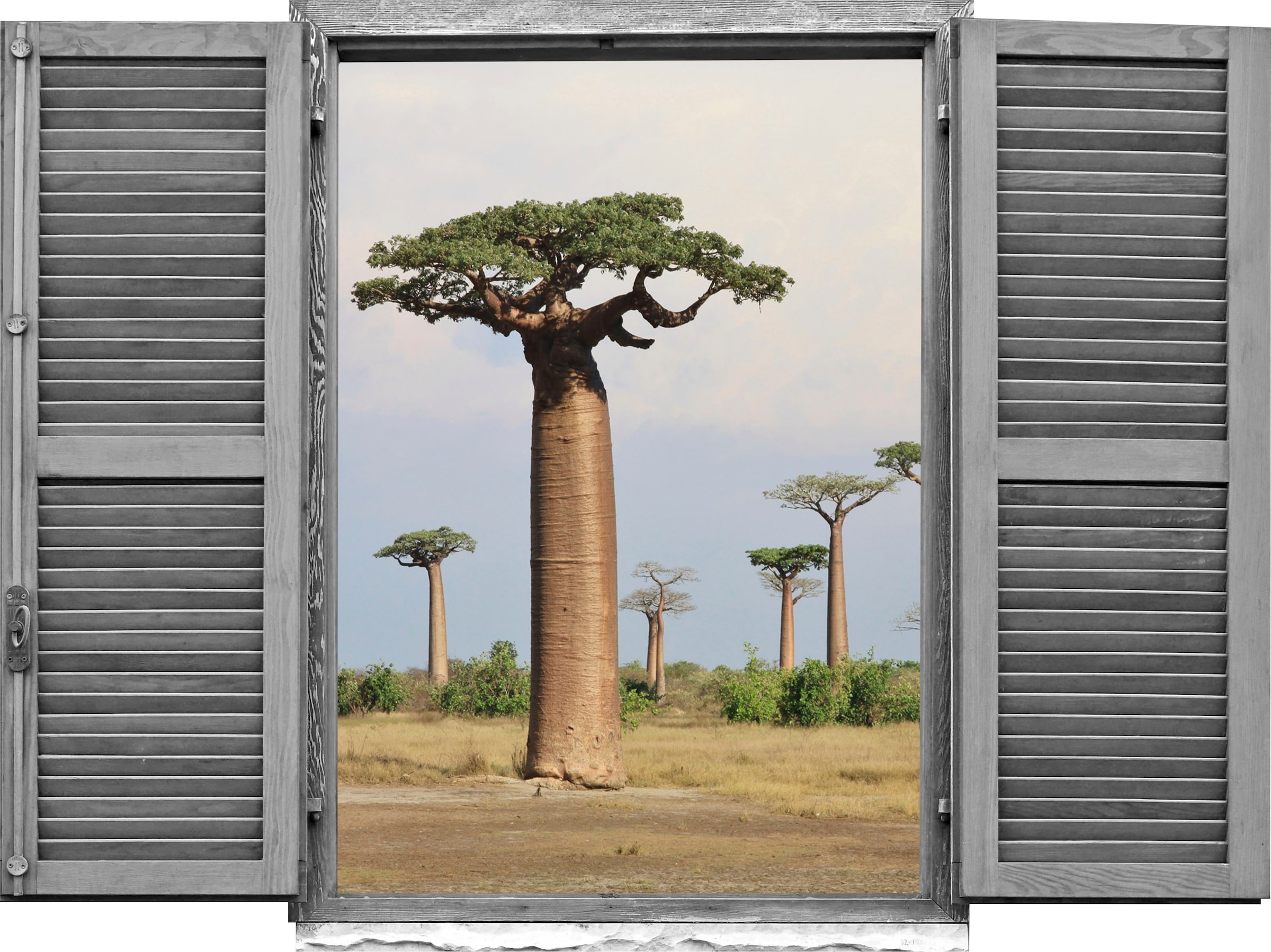 Image of queence Wandtattoo "Afrikanische Baüme" Wandsticker, Wandbild, selbstklebend, 3D, Fenster