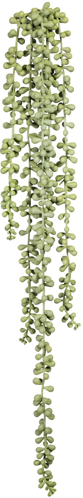 Creativ green Liane artificielle »Sedumhänger« 3er Set