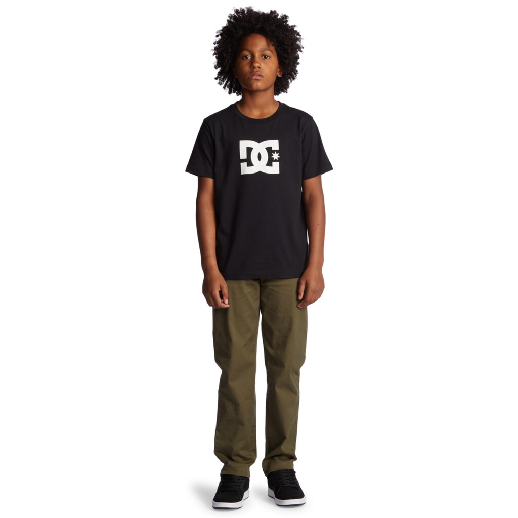 DC Shoes Chinos »Worker Relaxed«