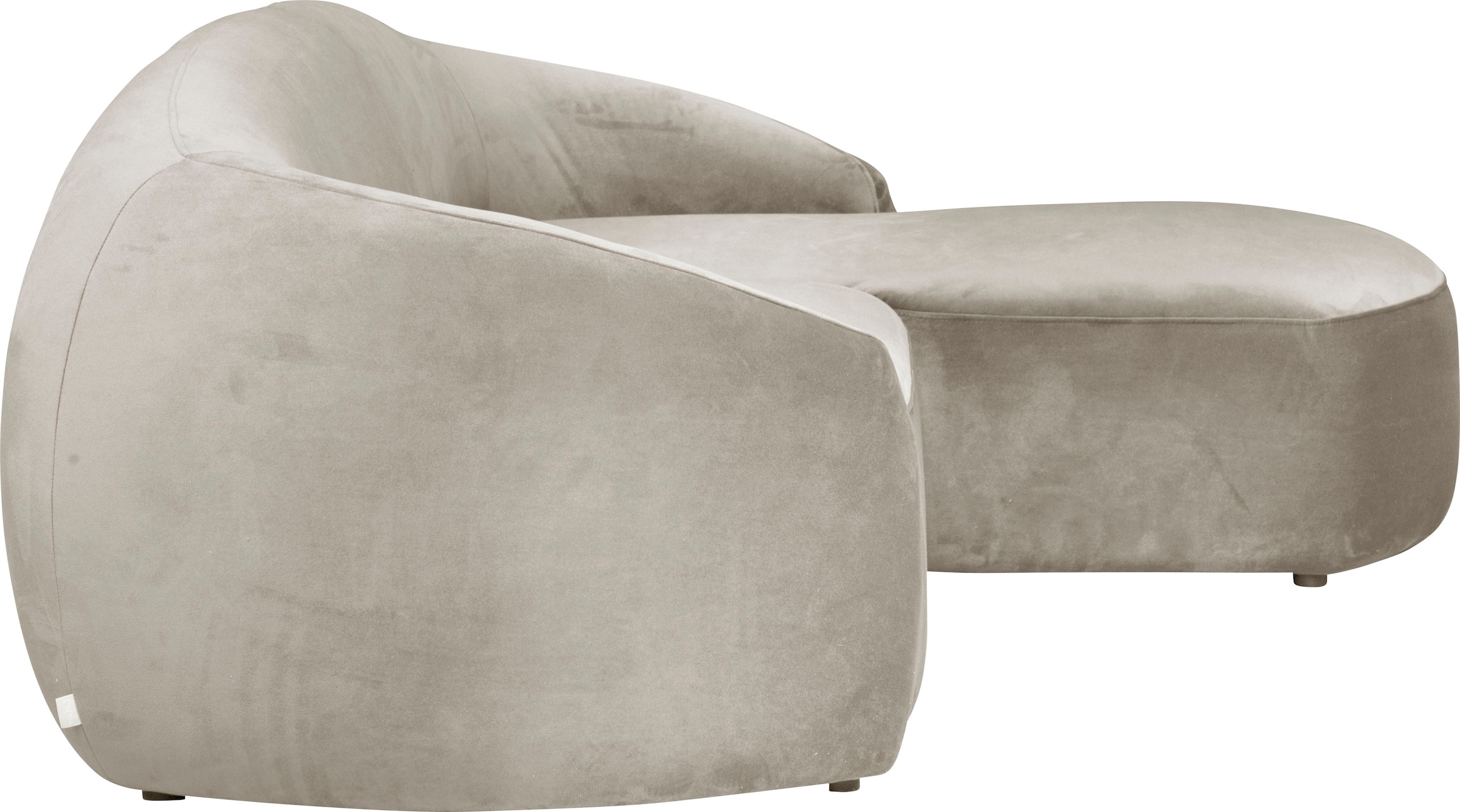 LeGer Home by Lena Gercke Ecksofa »YANI L-Form, Designersofa, organische Form, Masse B/T/H: 255/170/81 cm«, mit Wellenunterfederung, auch in Bouclé, Recamiere rechts/links