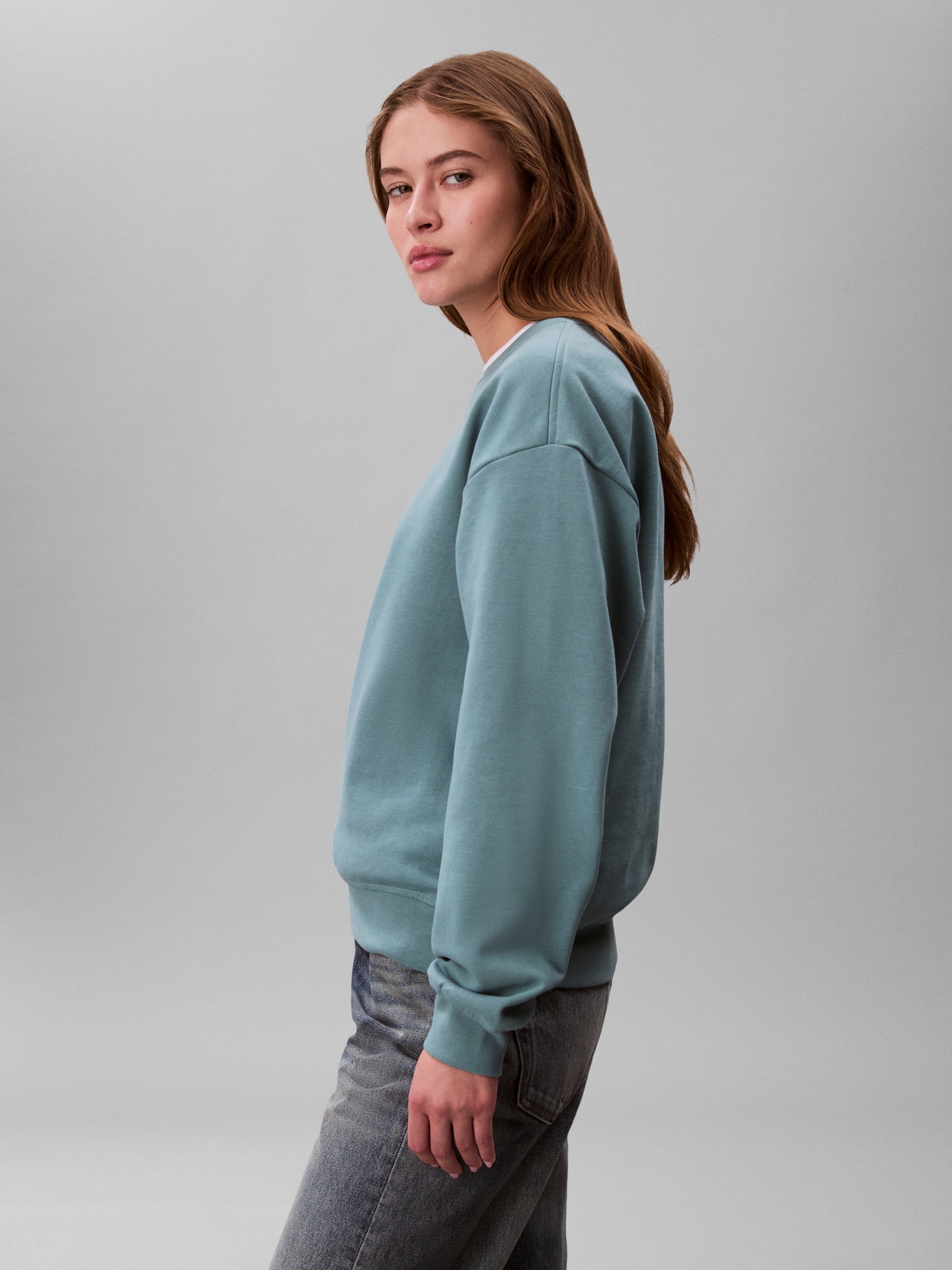 Calvin Klein Sweat-shirt »LS MONOLOGO FRENCH TERRY RLXD CR«, , inscription logo
