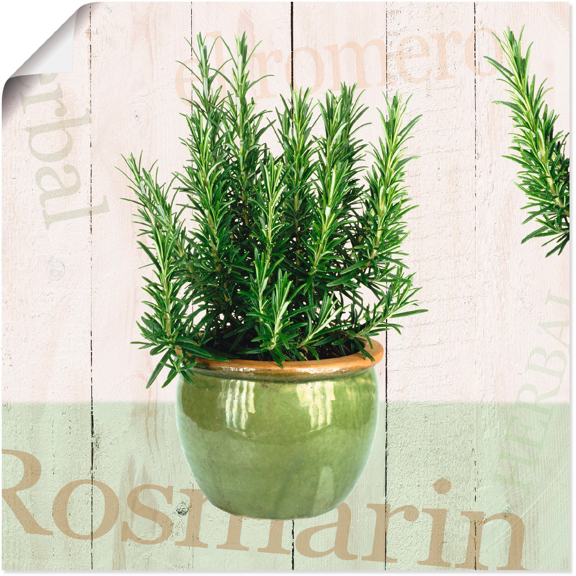 Wandbild »Rosmarin«, Pflanzen, (1 St.), als Alubild, Outdoorbild, Leinwandbild, Poster...
