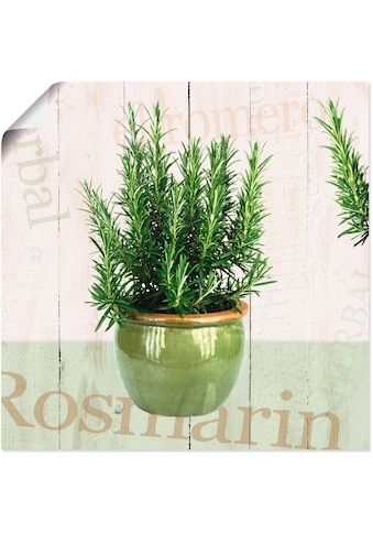 Wandbild »Rosmarin«, Pflanzen, (1 St.)
