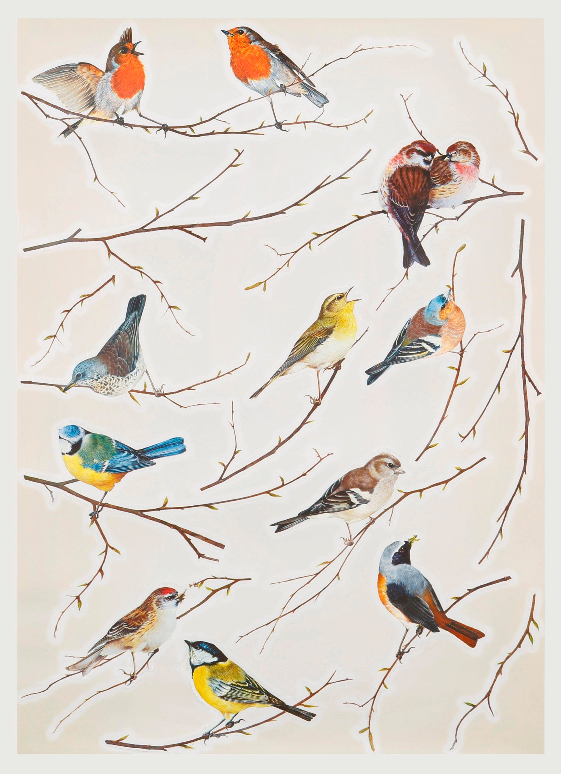 Image of Komar Wandtattoo »Vögel«, selbstklebend bei Ackermann Versand Schweiz