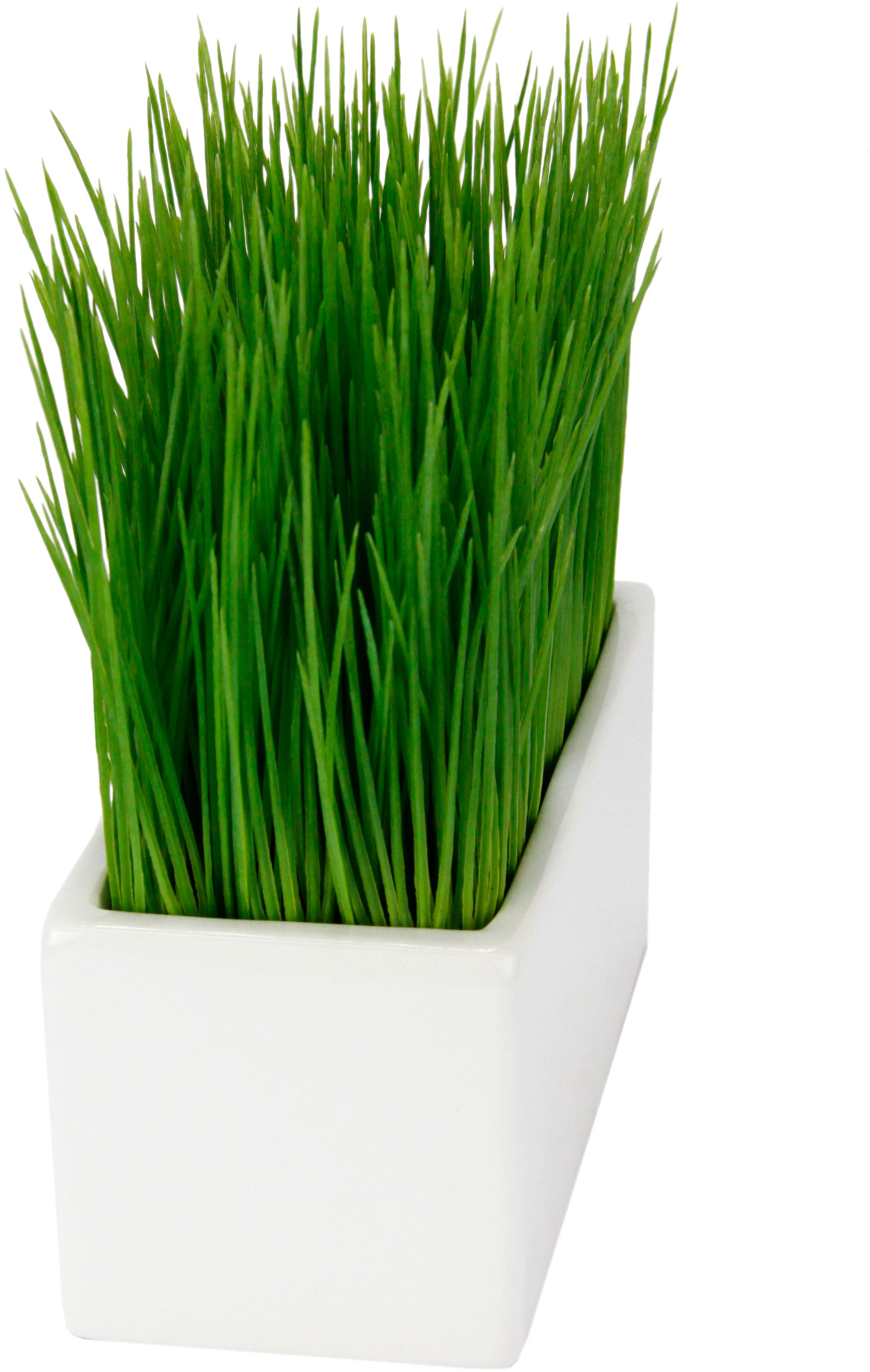 I.GE.A. Kunstpflanze in kaufen Keramikschale »Gras«, günstig