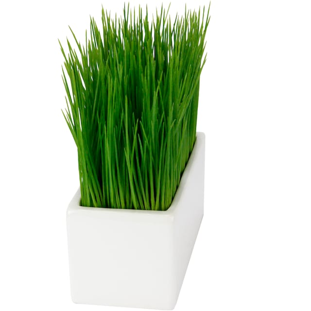 I.GE.A. Kunstpflanze »Gras«, in Keramikschale günstig kaufen